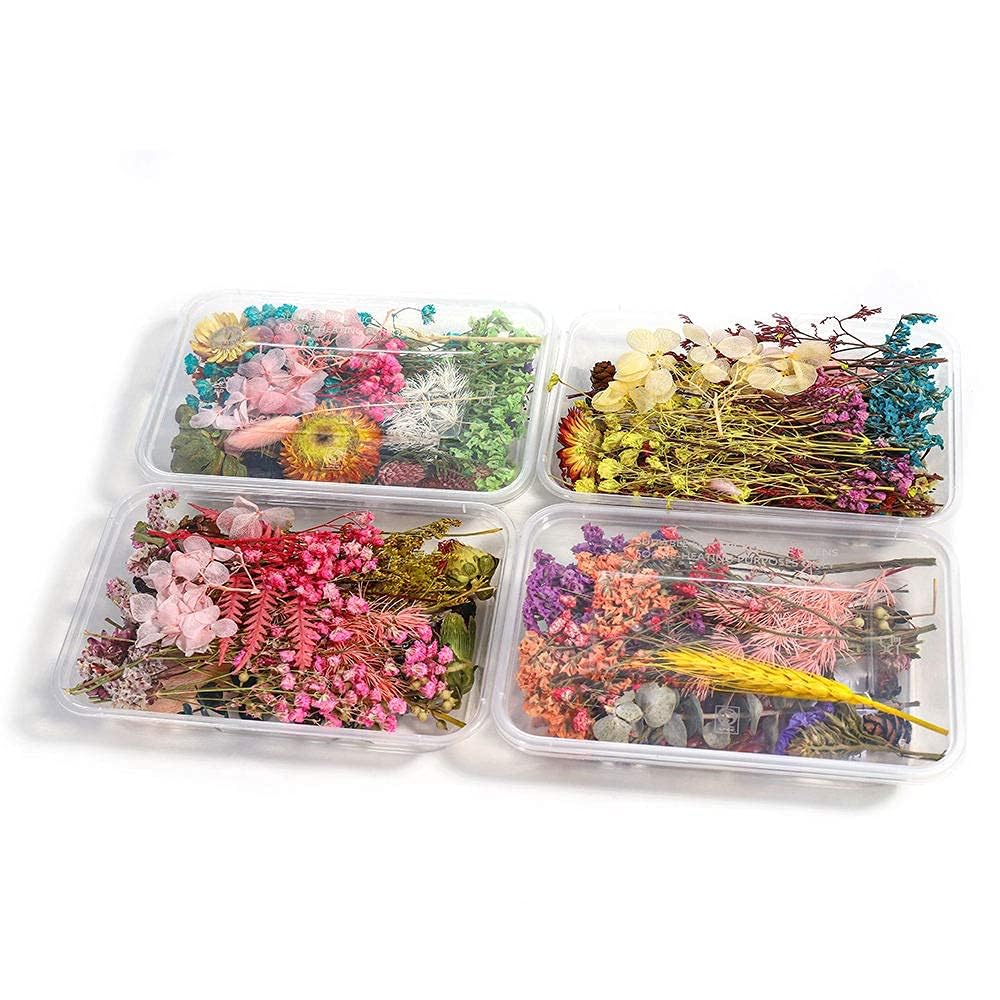 Kraftmasters Natural Real Dried Flowers For Art Craft Mixed Soap, Candle, Scrapbook, Diy, Resin Tray Jewellery, Pendant- [Random