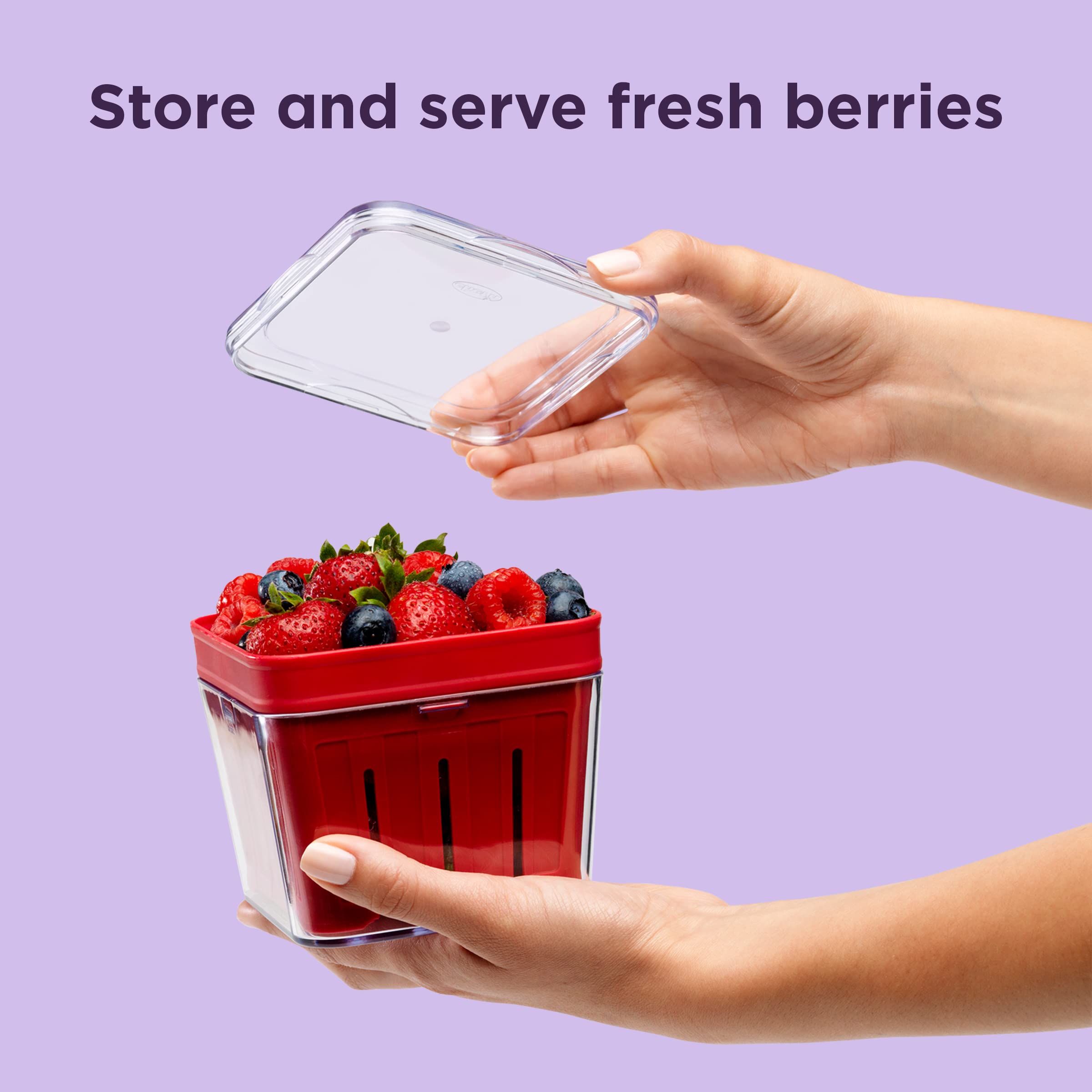 Chef'N Bramble Berry Basket And Colander (1-Quart, Cherry)