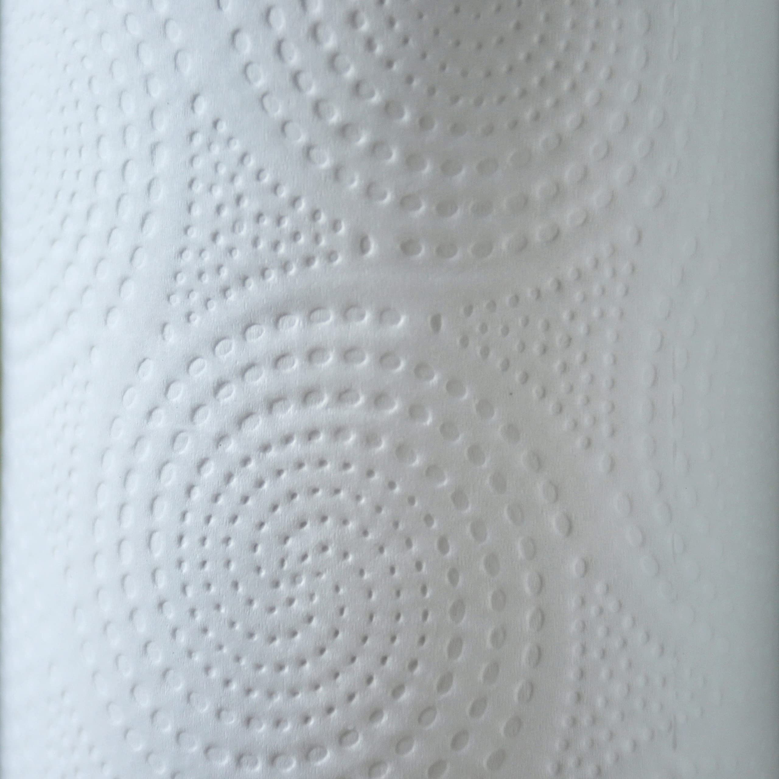 Genuine Joe 24080 Paper Towels Roll, 2-Ply, 80 Sheets/Roll,11-Inch X9-Inch, 30Rl/Ct,We