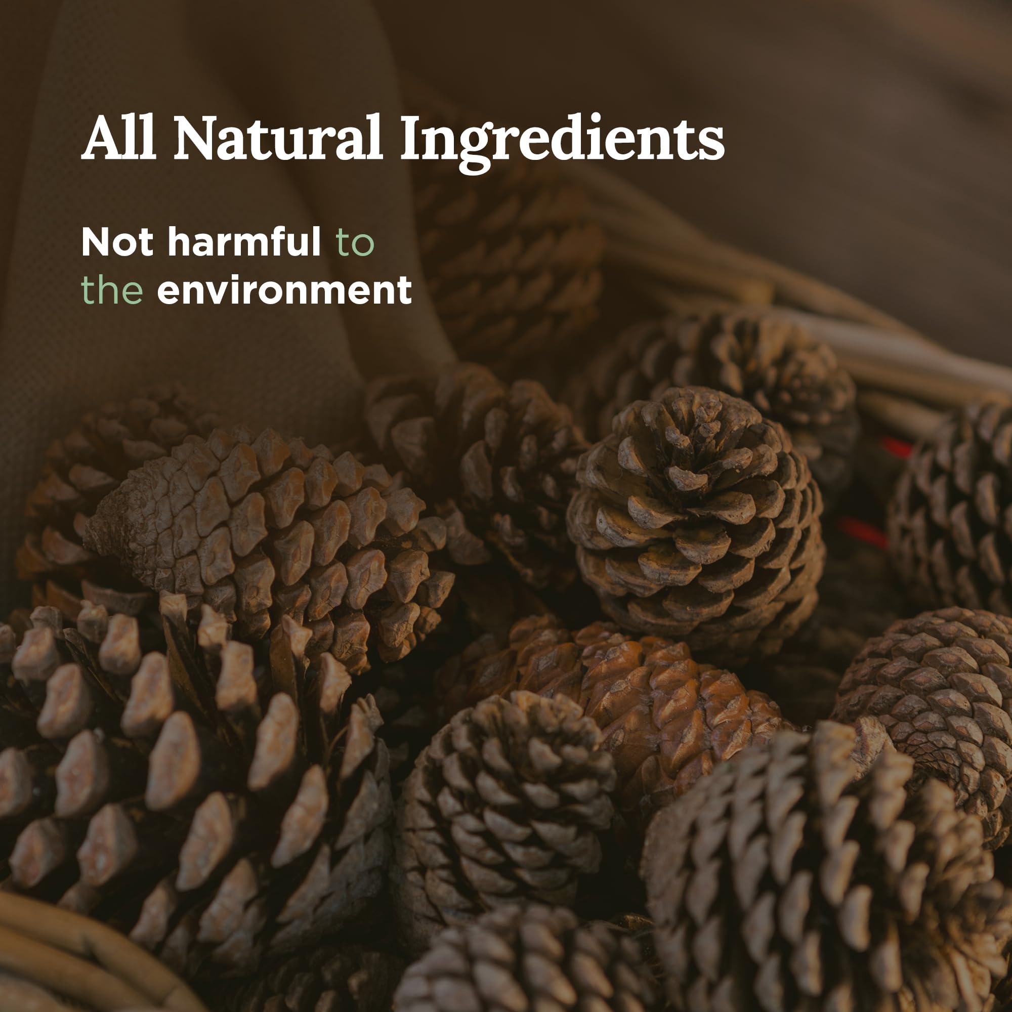 SAGE + Cedarwood Aromatherapy Candle for House Energy Cleansing and Stress Relief, Banishes Negative Energy I Purification and C