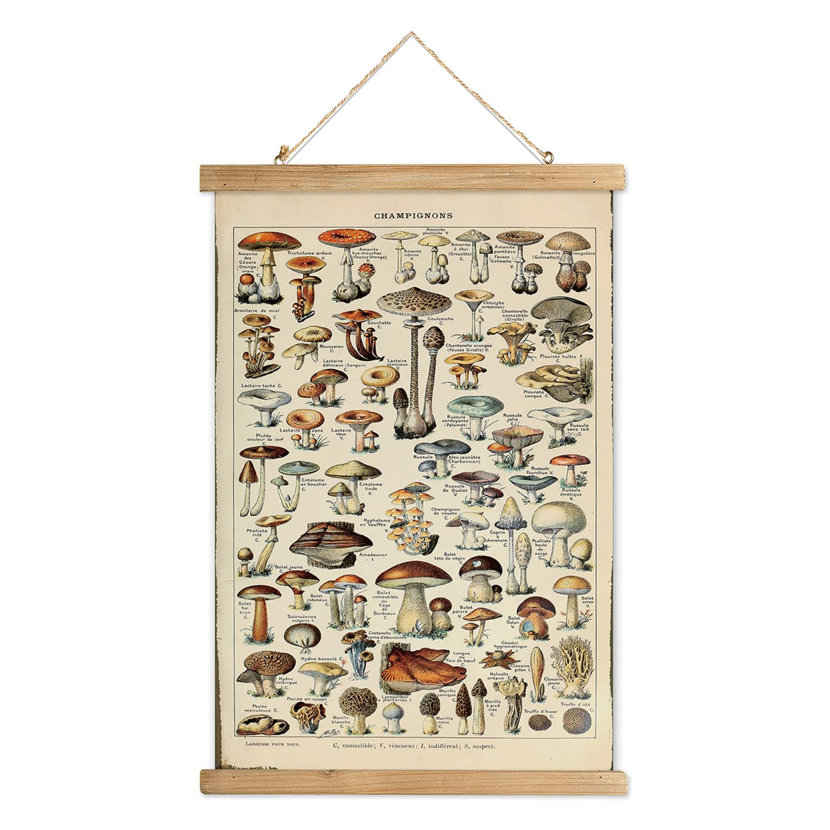 Xiaoaika Vintage Mushroom Poster With Wooden Scroll Frame - Classic Botanical Print With Variety Of Fungi Species - Retro Style