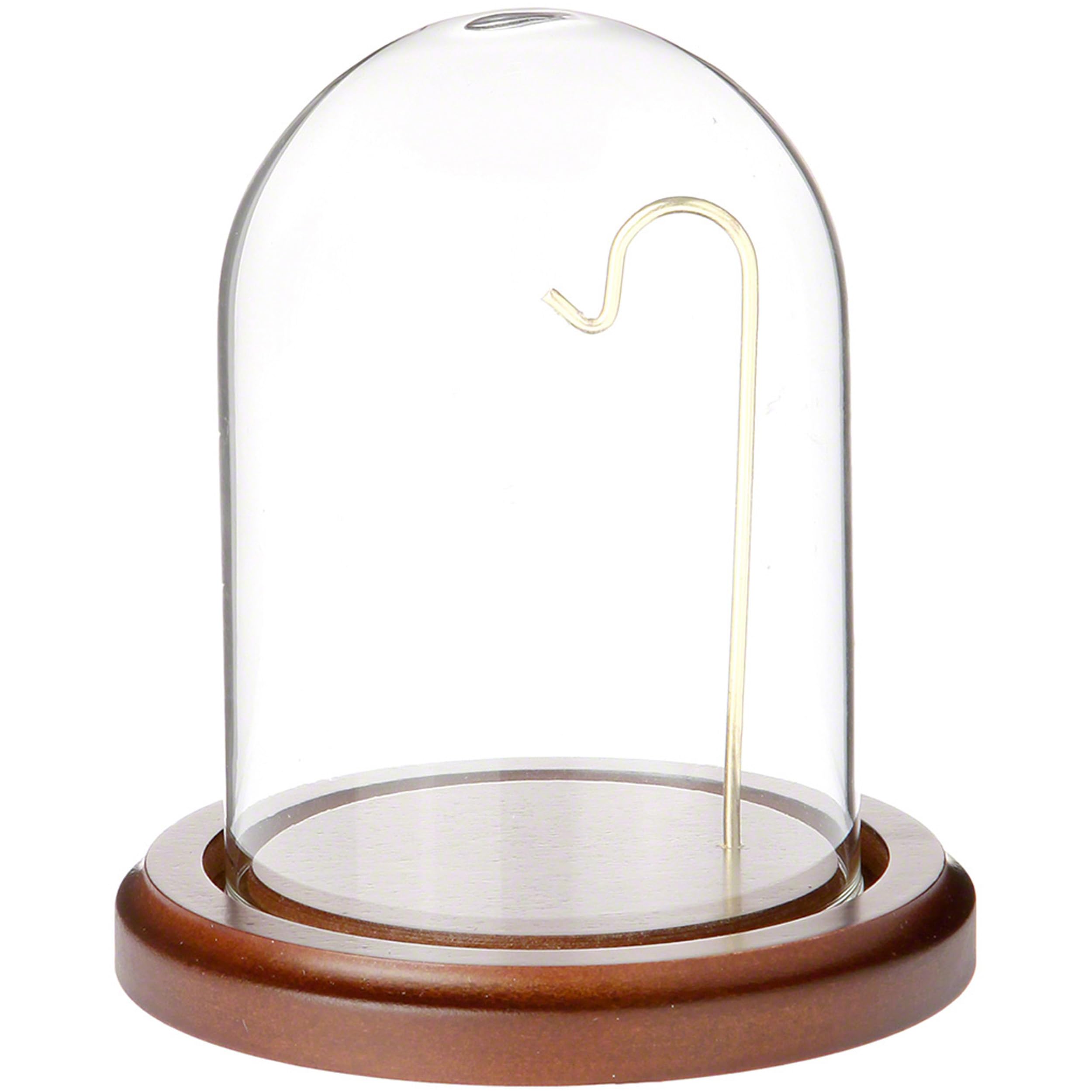 Plymor 3 x 4 Watch Glass Display Dome Cloche (Walnut MDF Base & Brass Wire)