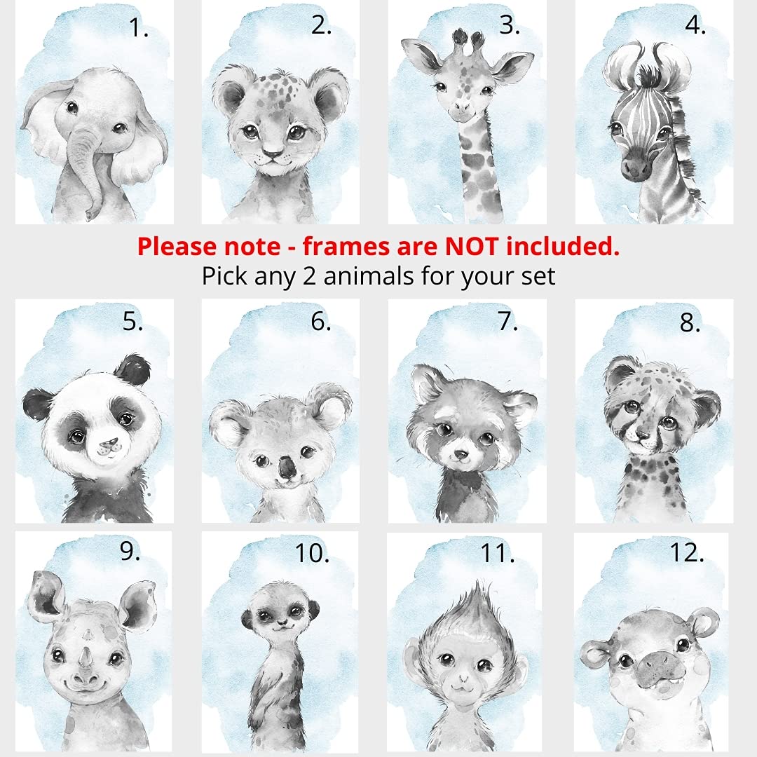 Personalized Safari Animals for Baby Boy Girl Nursery Bedroom  Unframed Set of 3 Poster Prints  Personalized Name Gray Blue Green Yellow Watercolour Splash Wall Art Decor  Gift Present  Elephant Giraffe Lion (12x16)