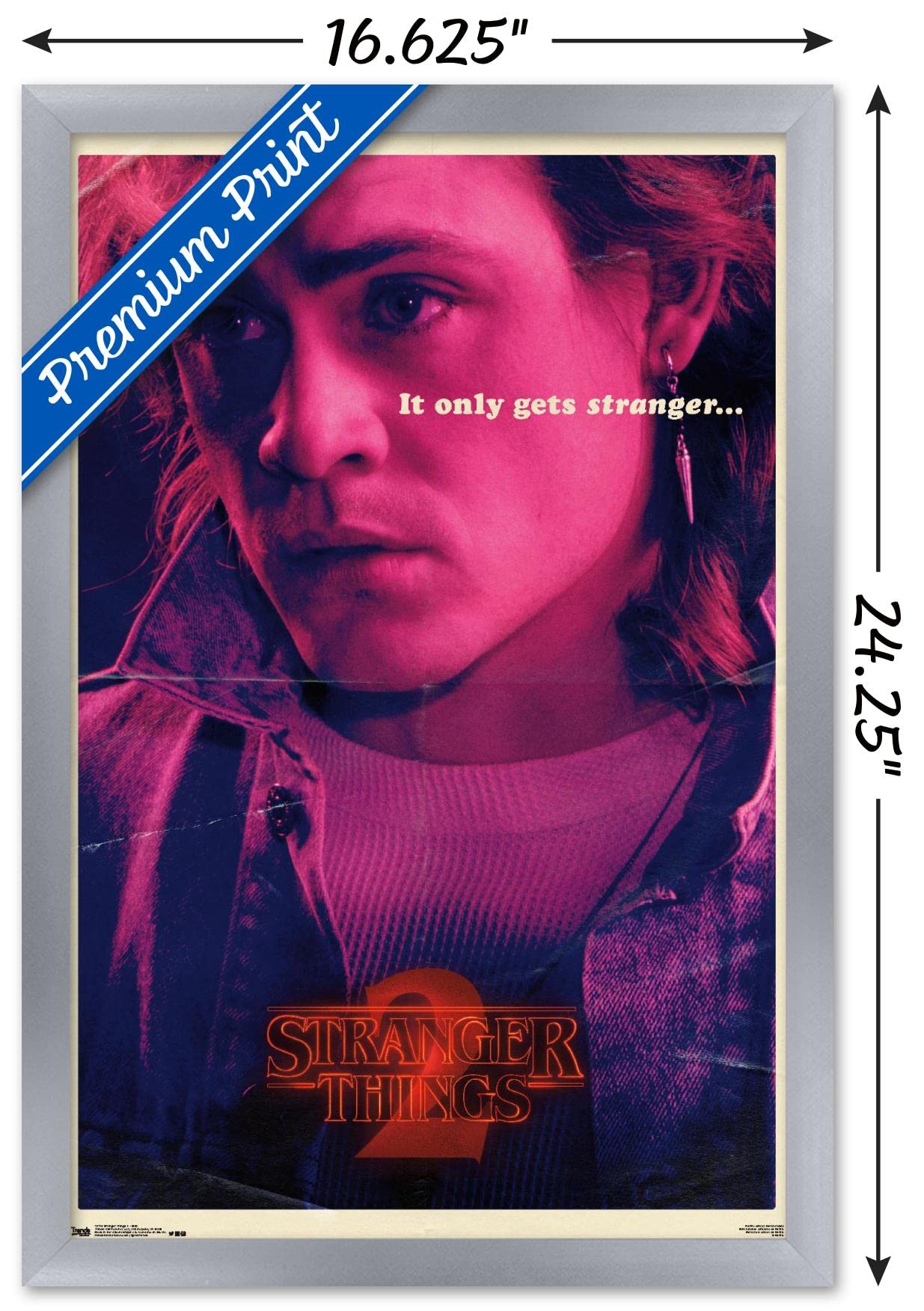 Trends International Netflix Stranger Things: Season 2 - Billy Wall Poster, 14.725'' X 22.375'', Silver Framed Version