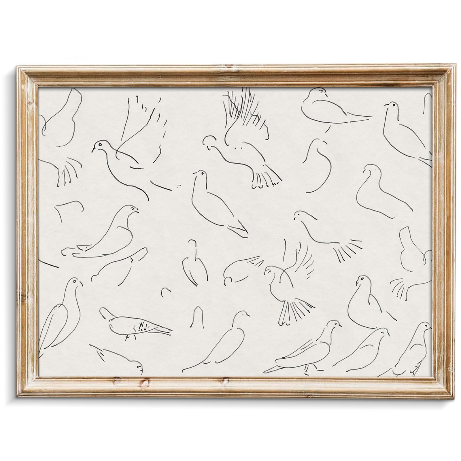 uniro Vintage Animal Drawing Birds Line Art Sketch Pigeon Wall Art Pencil Dove Poster Print Print and Poster Abstract Antique Ae