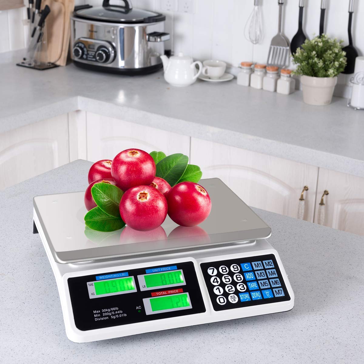 Safstar Electronic Price Computing Scale Lcd Digital Commercial Food Meat Weighting Scale 66 Ib Capacity