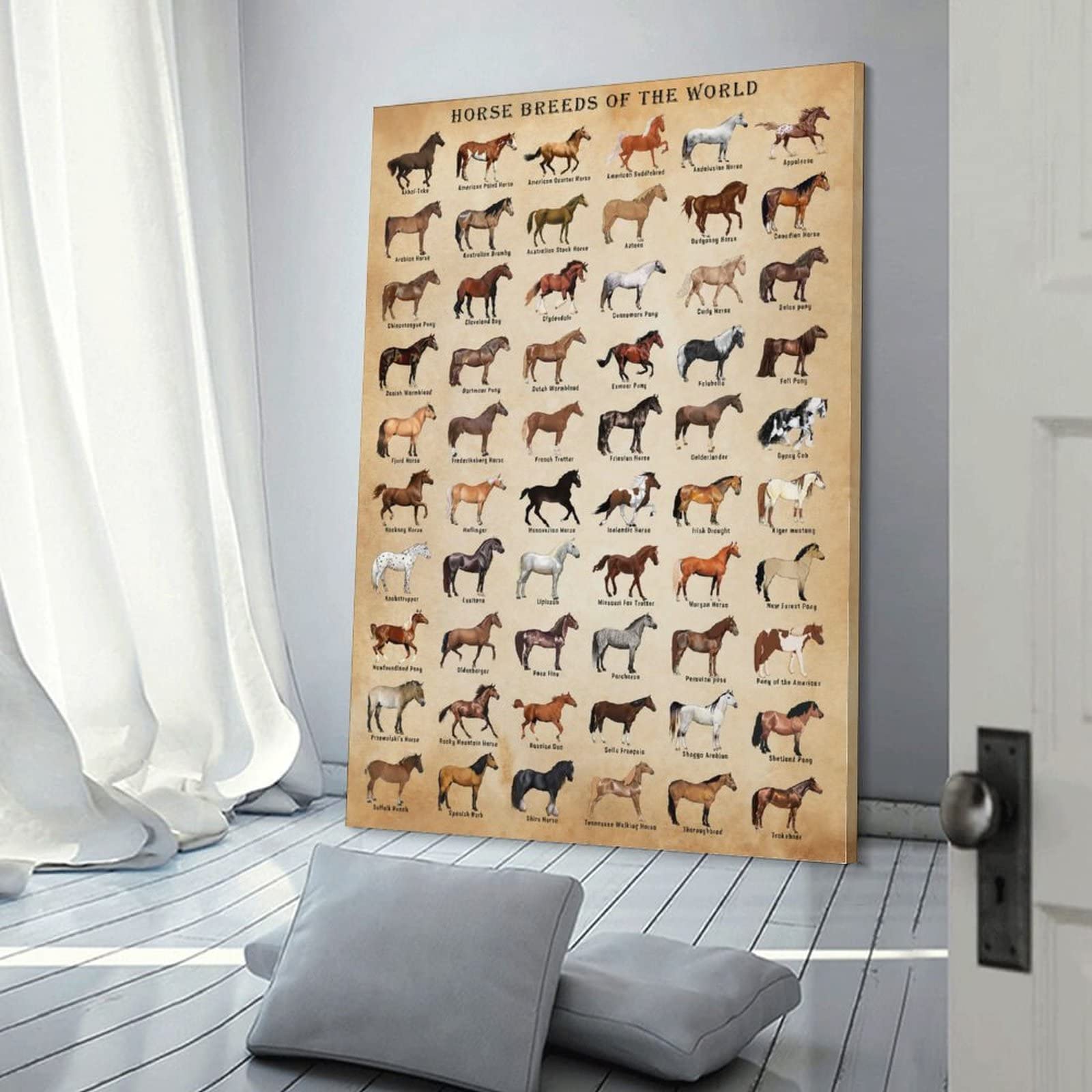 Xnlksi Horse Knowledge Horse Breeds Of The World Poster Framed 12X16Inch