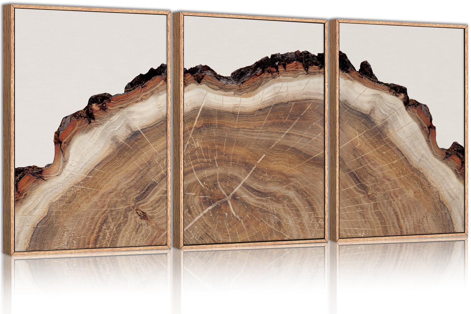 Hpinub Tree Rings Wood Wall Art Framed Set, Modern Beige Wood Stump Wall Decor, Abstract Tree Spiral Wall Painting,Nature-Inspir