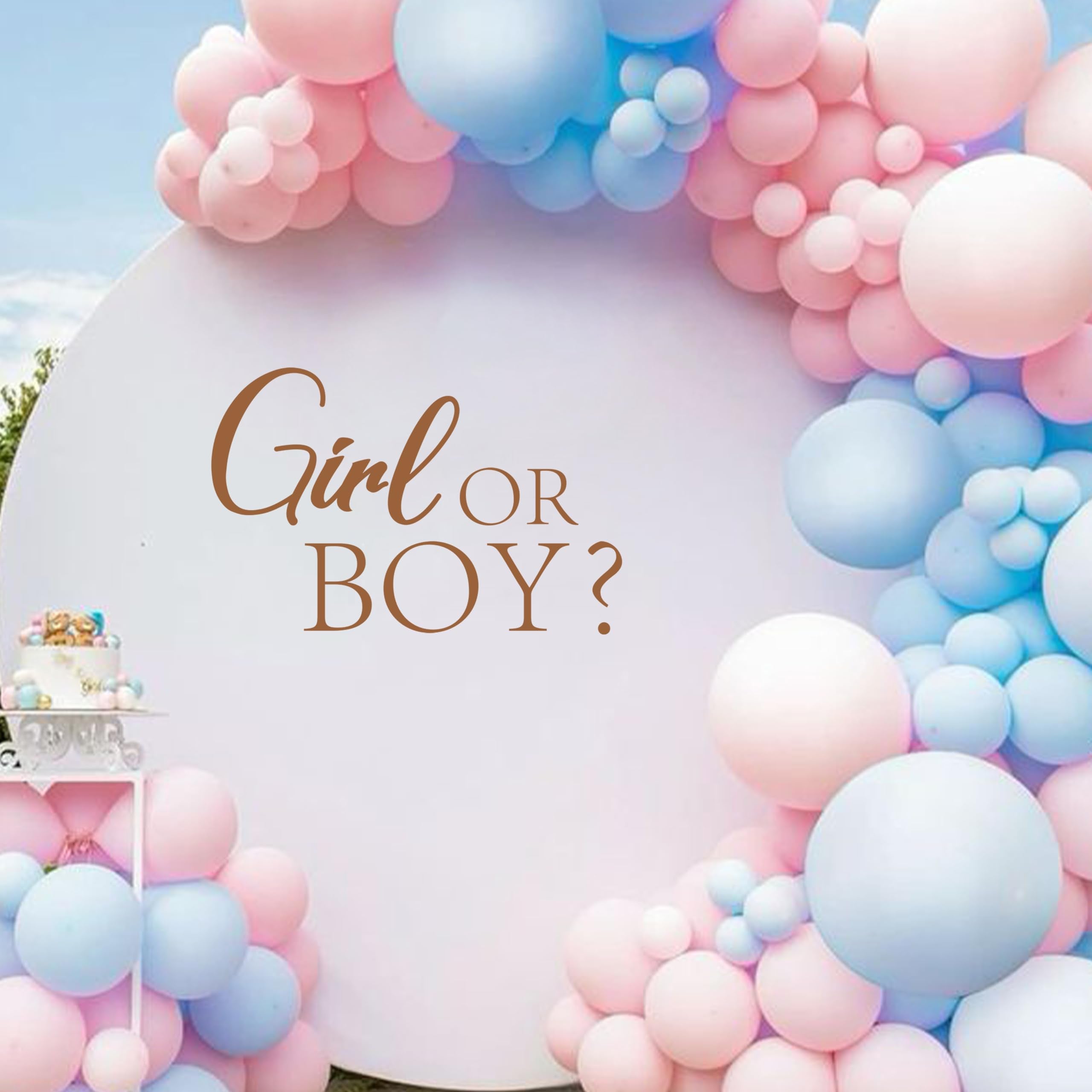 Cieqr Girl Or Boy Gender Reveal Sign Decal - Baby Shower Party Decal Sign, Baby Shower Decorations For Party, Balloon Arch, Back