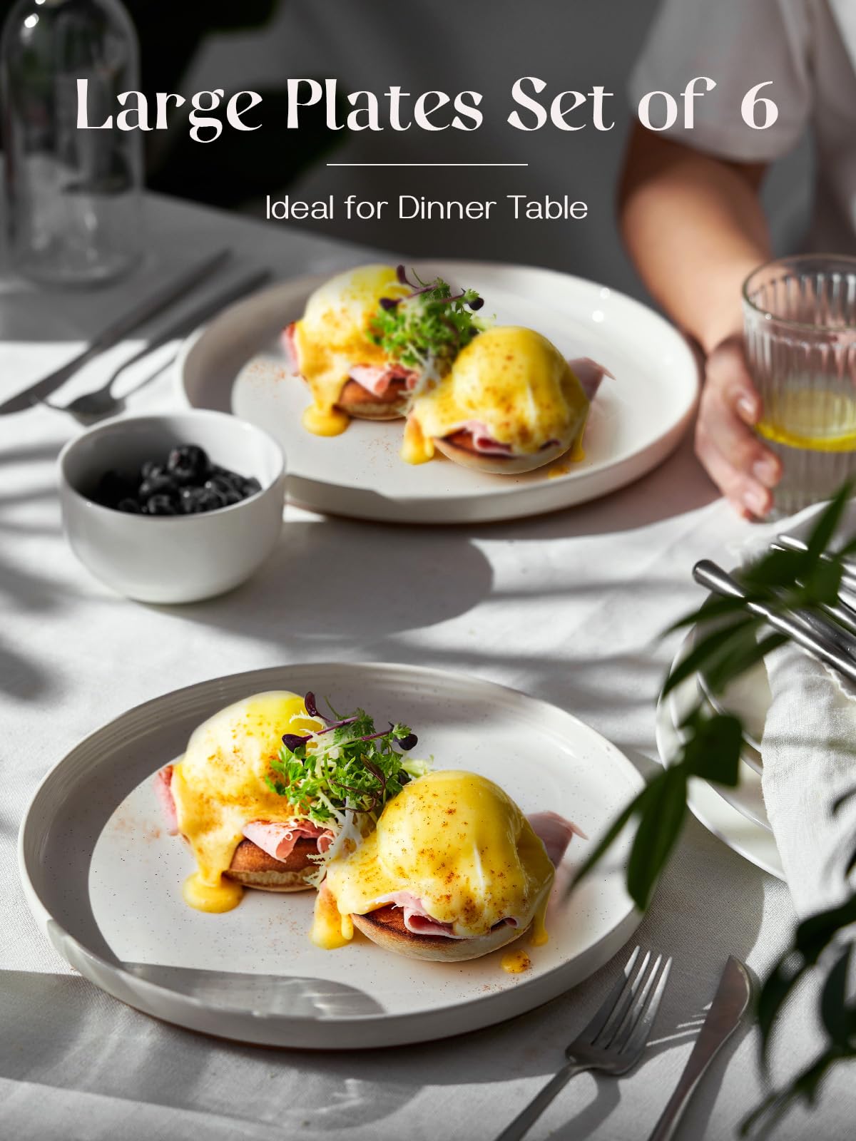 DOWAN 10.5 Large Dinner Plates Set of 6, Ceramic Salad Plate, Microwave, Oven & Dishwasher Safe, Moon-White Design Perfect for P