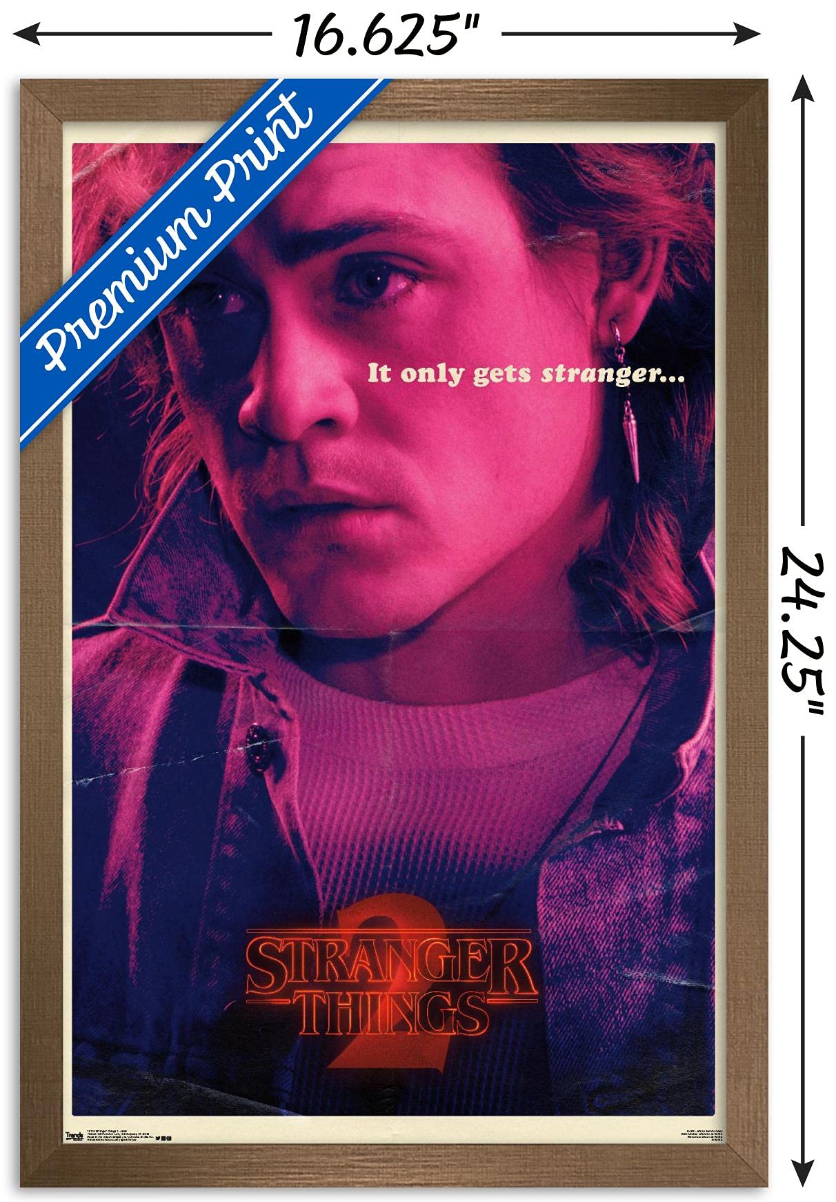 Trends International Netflix Stranger Things: Season 2 - Billy Wall Poster, 14.725'' X 22.375'', Bronze Framed Version