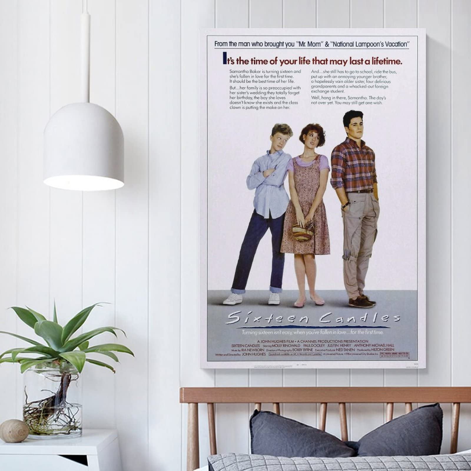 Sixteen Candles Movie Poster Canvas Art Poster And Wall Art Picture Print Modern Family Bedroom Decor Posters 12X18Inch(30X45Cm)
