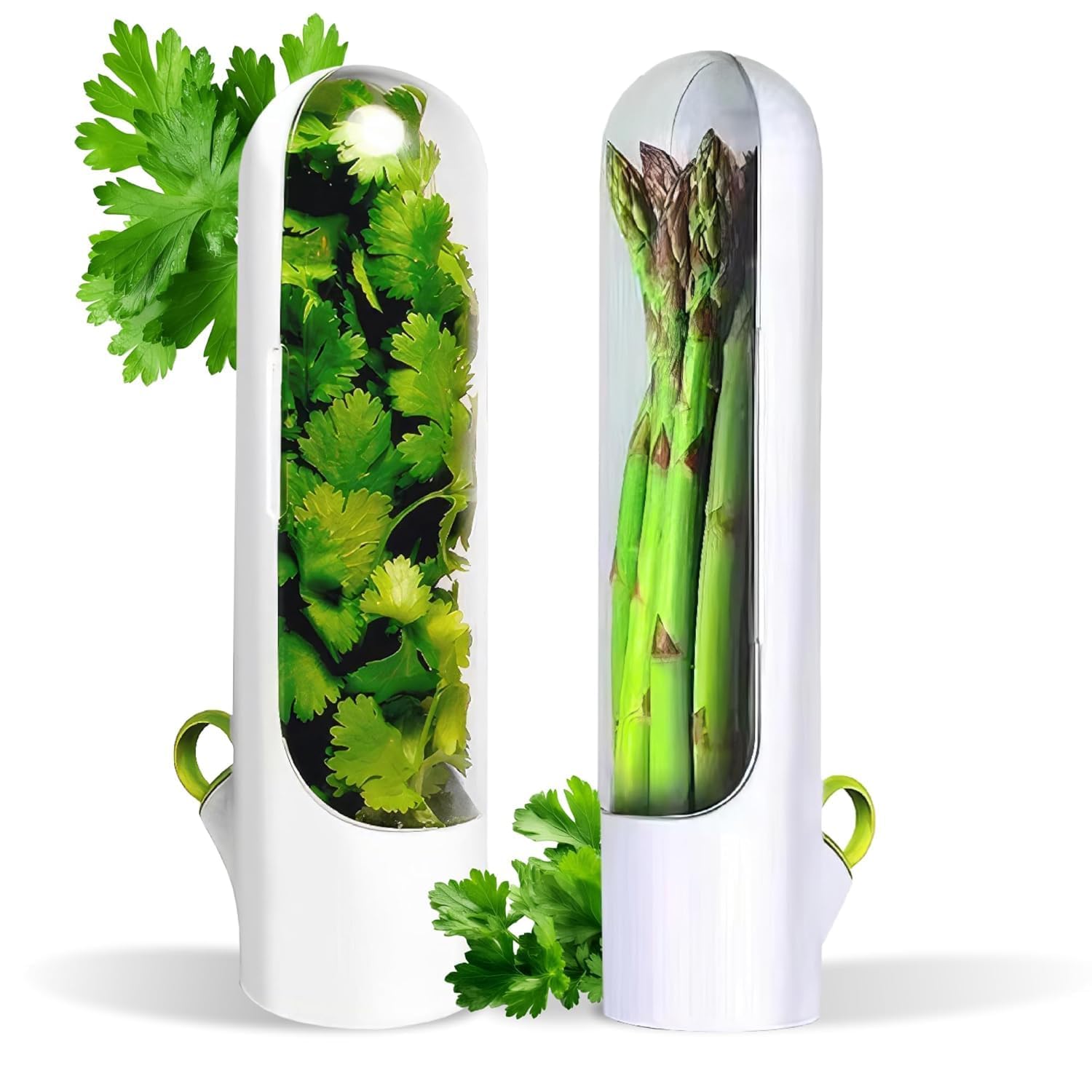 Jaymukesh & Co. Fresh Herb Keeper For Fridge | Airtight BpaFree Herb Storage Box, Transparent Container Keeps Coriander, Mint, 