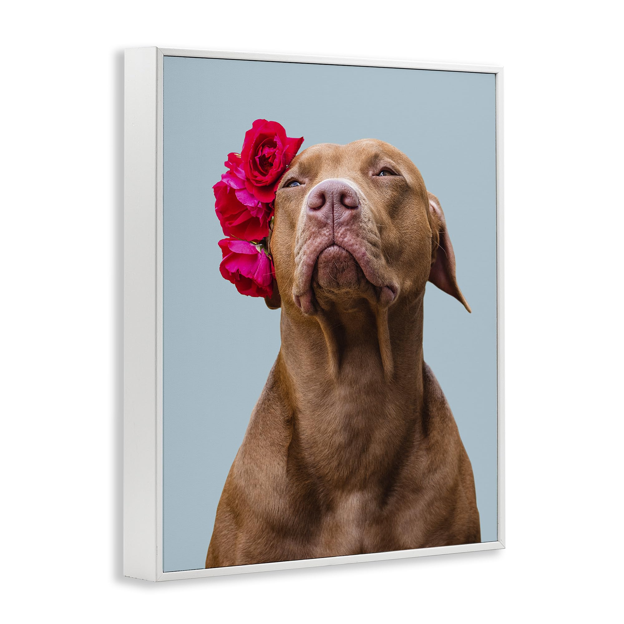 Stupell Industries Personalized Custom Print Rectangular Framed Giclee Art