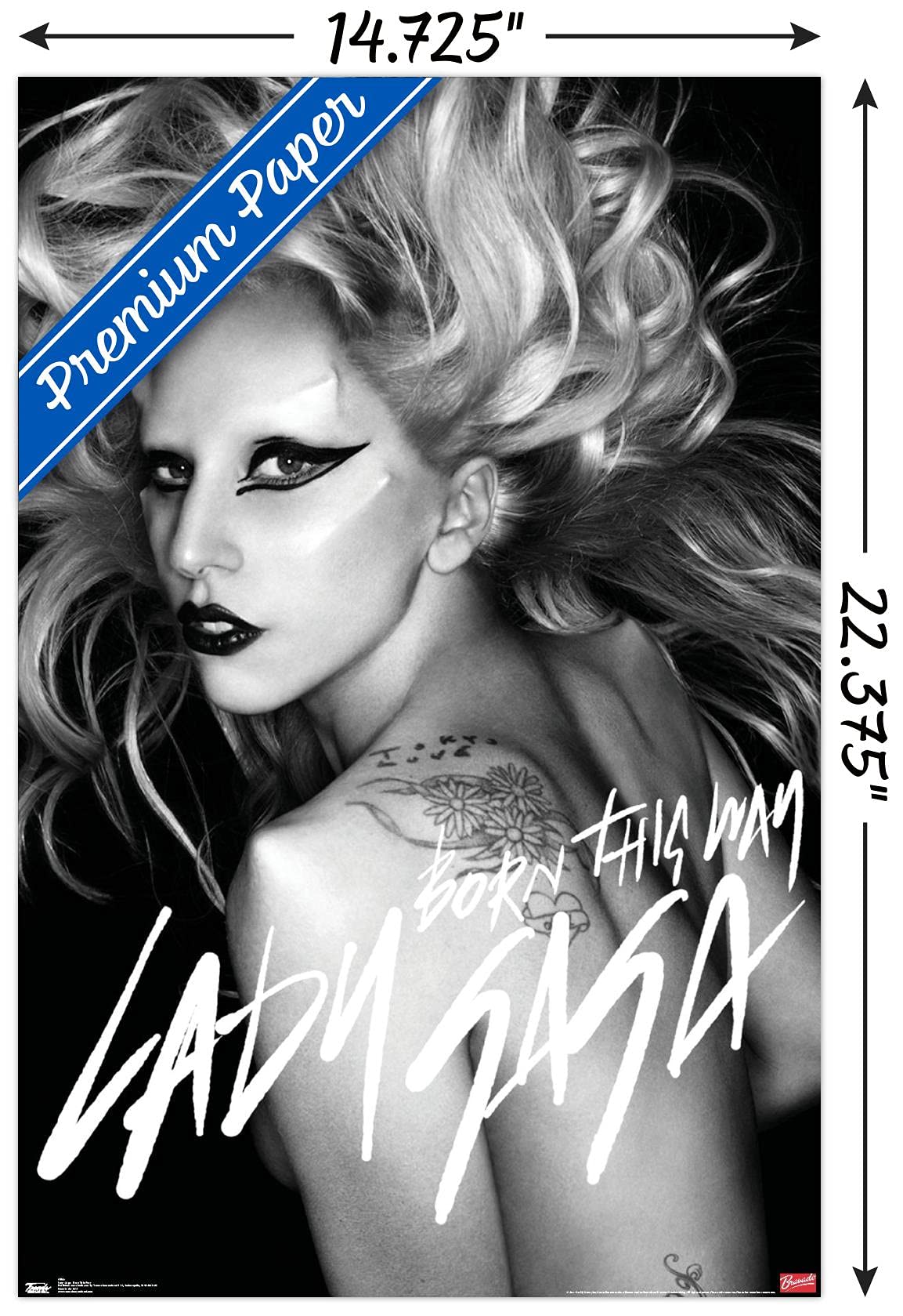 Trends International Lady Gaga - Born This Way Wall Poster, 14.725'' X 22.375'', Premium Unframed Version
