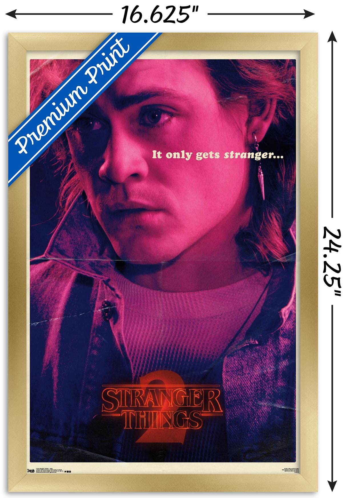 Trends International Netflix Stranger Things: Season 2 - Billy Wall Poster, 14.725'' X 22.375'', Gold Framed Version