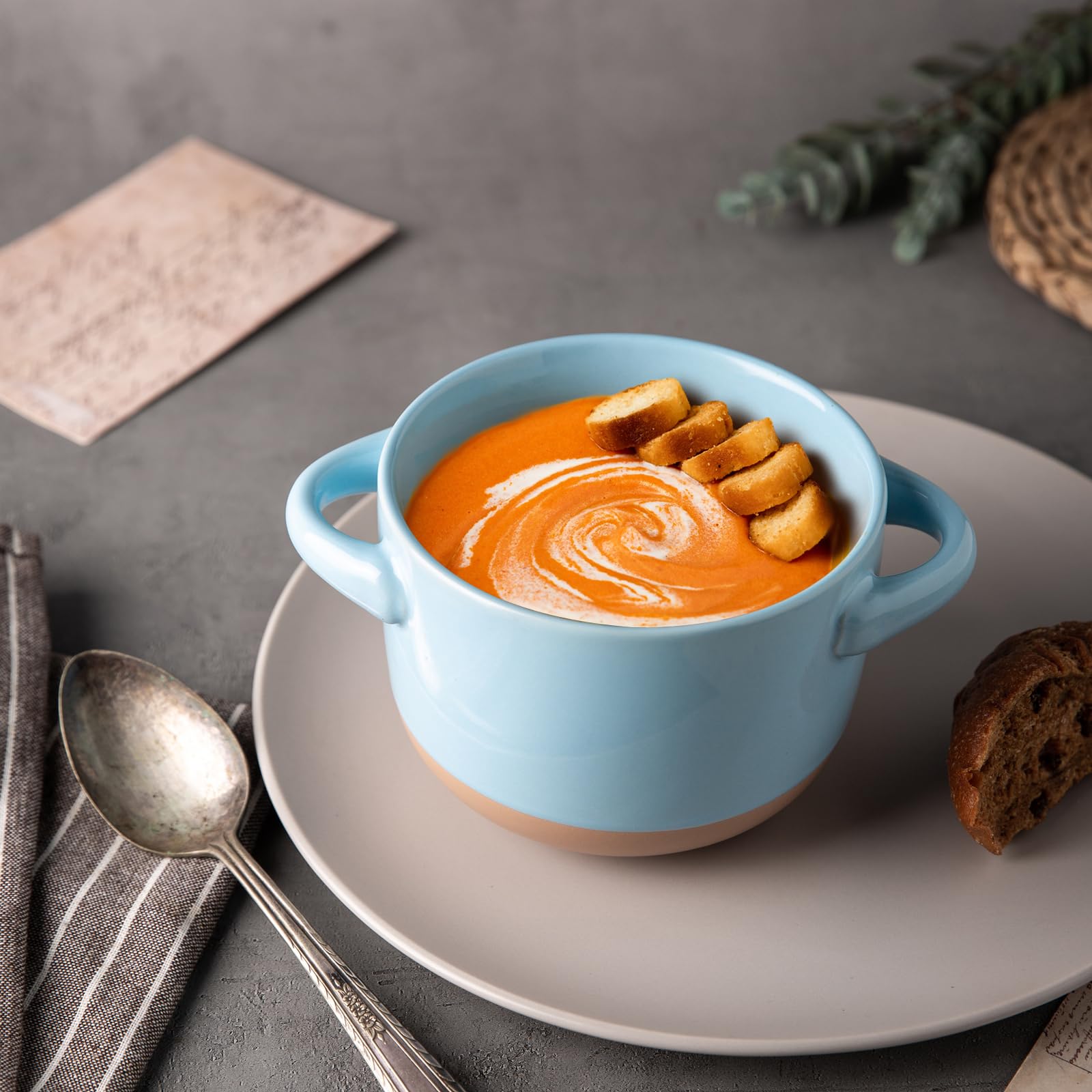 Amorarc 24 Ounces Soup Bowls With Large Handles And Lids, Stoneware Bowls Set Of 2 For Soup, Cereal, Stew, Noodle, Colourful Cer