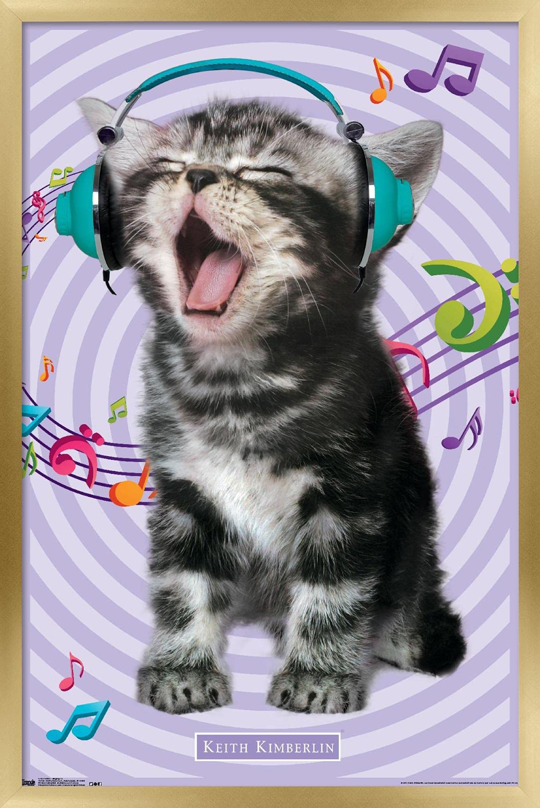 Trends International Keith Kimberlin - Kitten - Singing Wall Poster, 14.725'' X 22.375'', Gold Framed Version