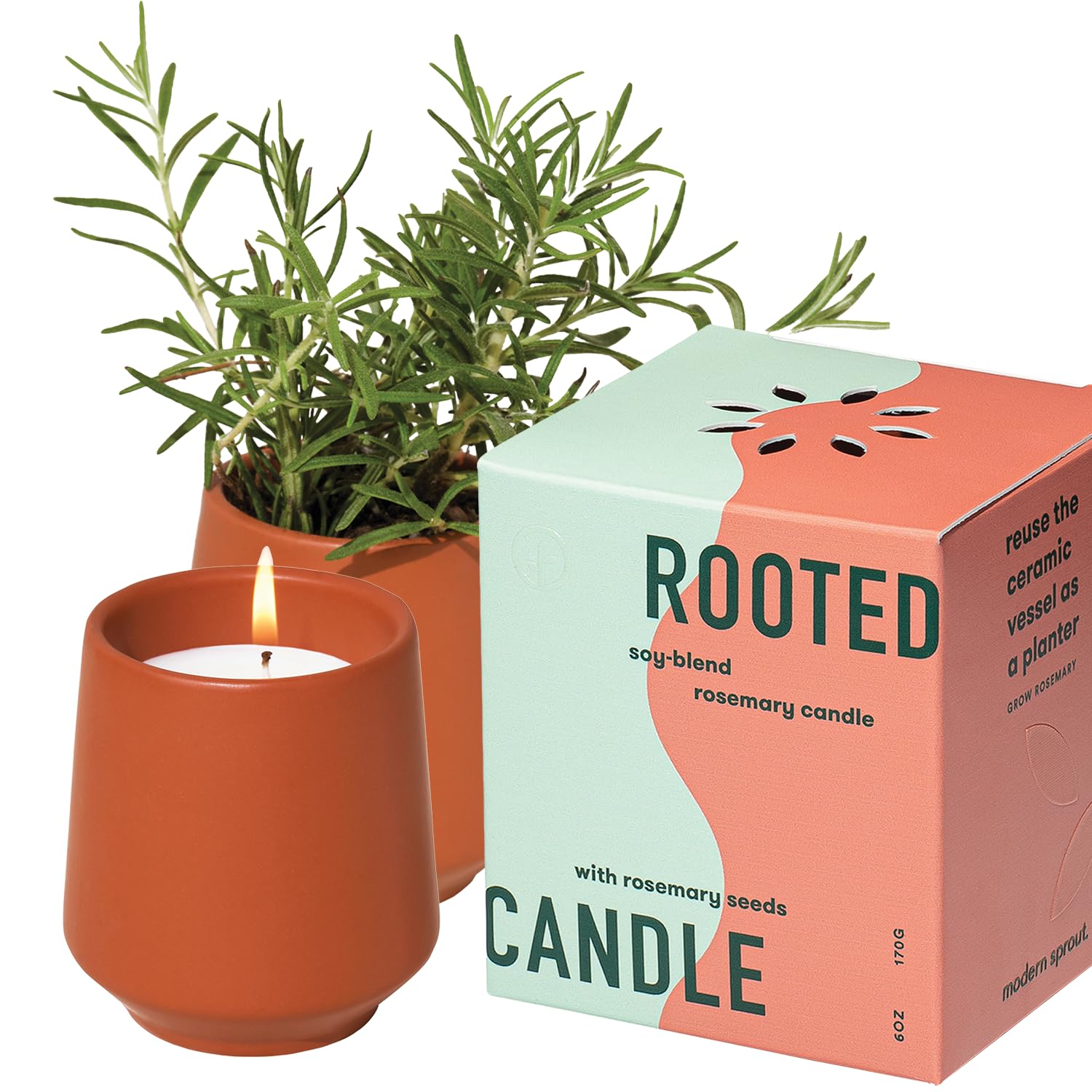 Modern Sprout - 2 in 1 Cucumber Scented & Soy Candle with Seeds that Grows into Rosemary Plant - 6 oz w/ 42 Hr Burn Time in Matt