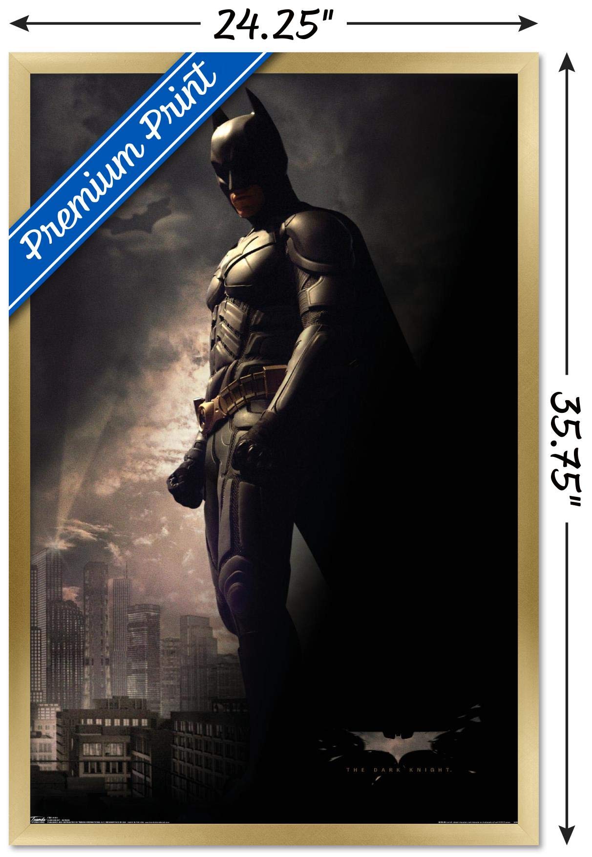 Trends International Dc Comics Movie - The Dark Knight - Batman In The Shadows Wall Poster, 22.375'' X 34'', Gold Framed Version