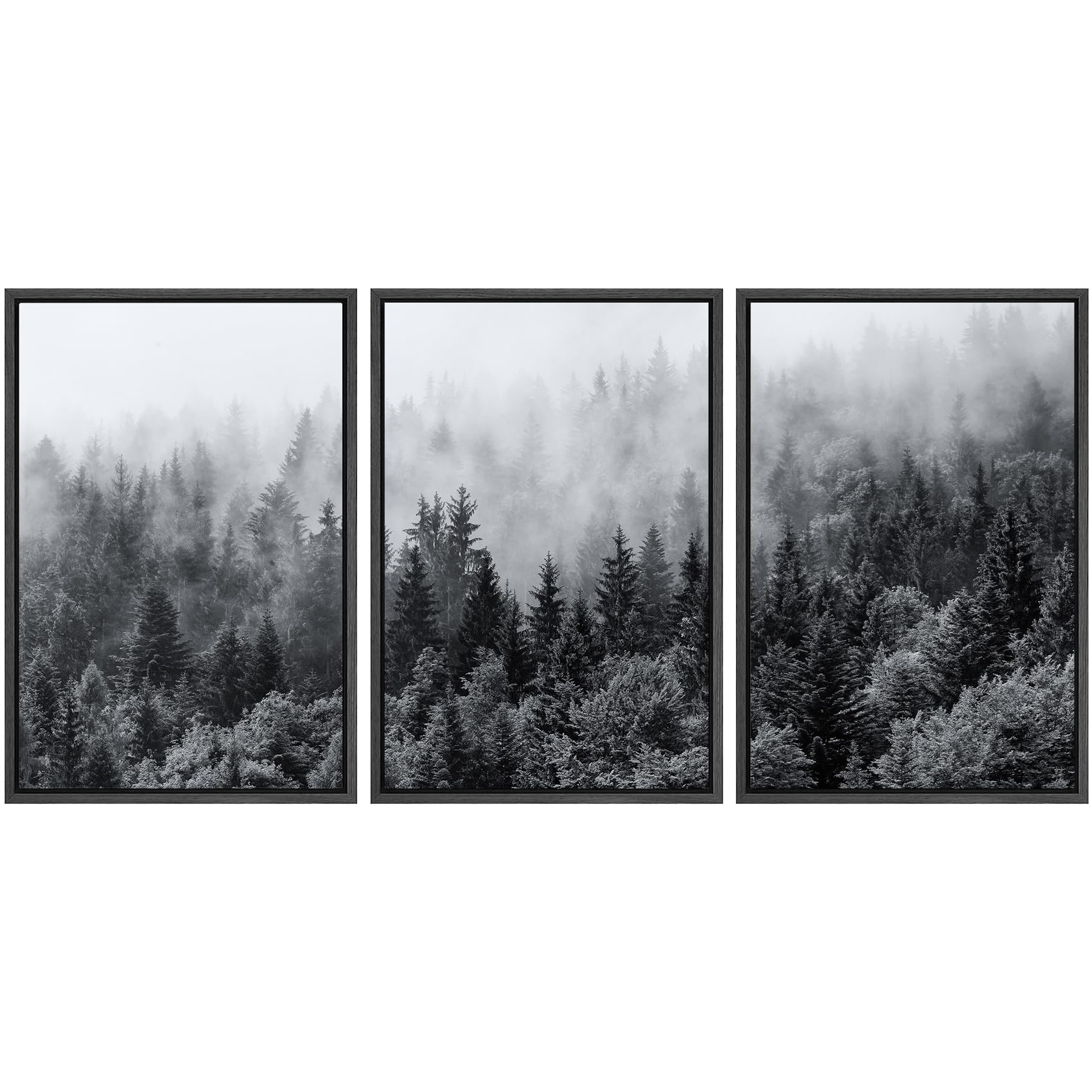 Signwin Framed Canvas Print Wall Art Set Black & White Misty Mountain Forest Nature Wilderness Photography Modern Art Chic Lands