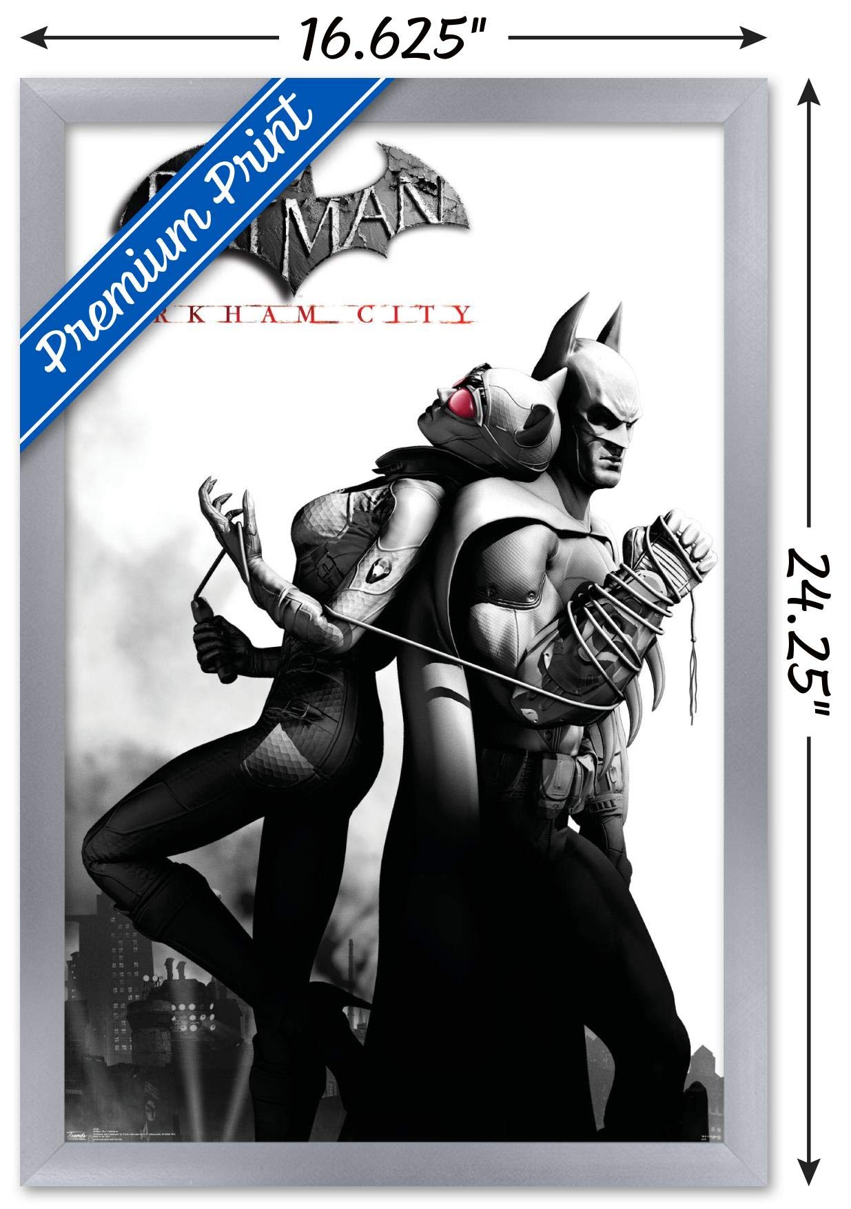 Trends International Dc Comics Video Game - Arkham City - Catwoman Wall Poster, 14.725'' X 22.375'', Silver Framed Version