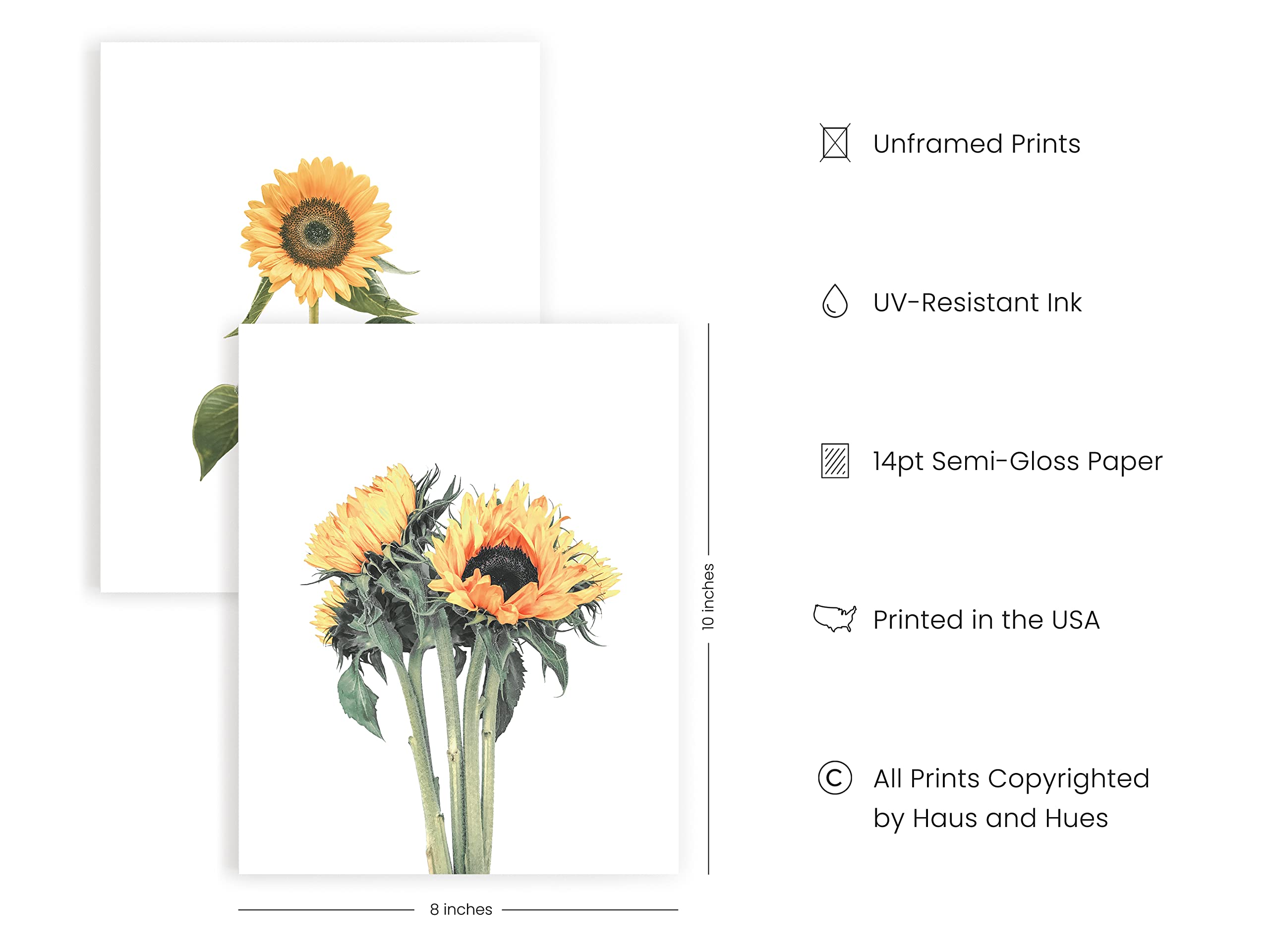 HAUS AND HUES Sunflower Wall Decor and Sunflower Posters Set of 4 Sun Flower Wall Art | Sunflower Paintings for Wall Sunflower Wall Art Sunflower Photos Sunflower Decor (8'' x 10''  UNFRAMED)