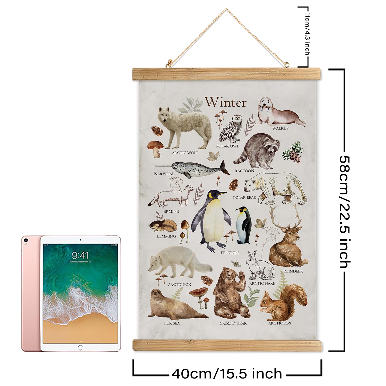 Xiaoaika Winter Wildlife Educational Poster - Illustrated Arctic Animals Chart With Wooden Frame - Seasonal Nature Wall Art For