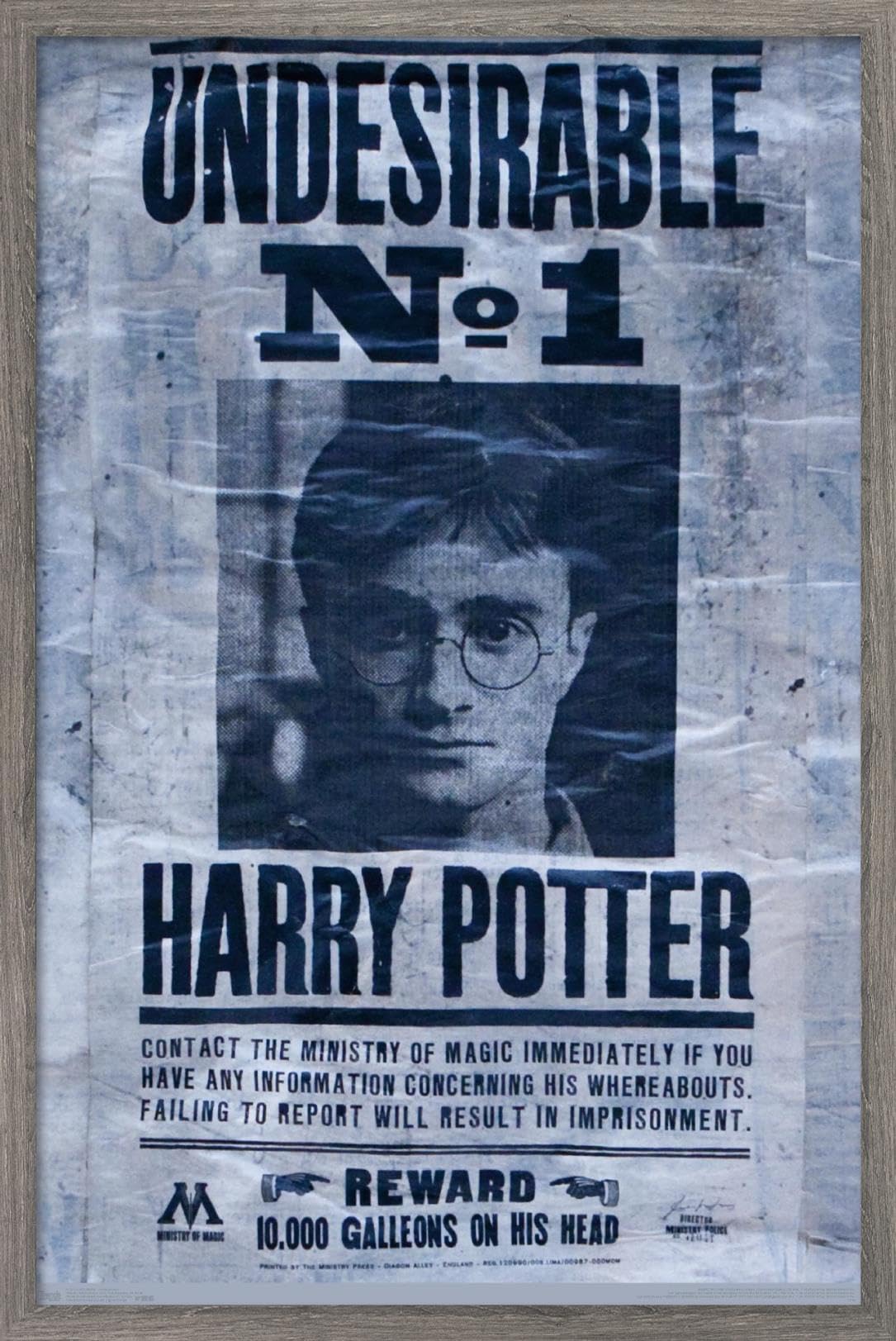 Trends International The Wizarding World: Harry Potter - Undesirable Wall Poster, 14.725'' X 22.375'', Barnwood Framed Version