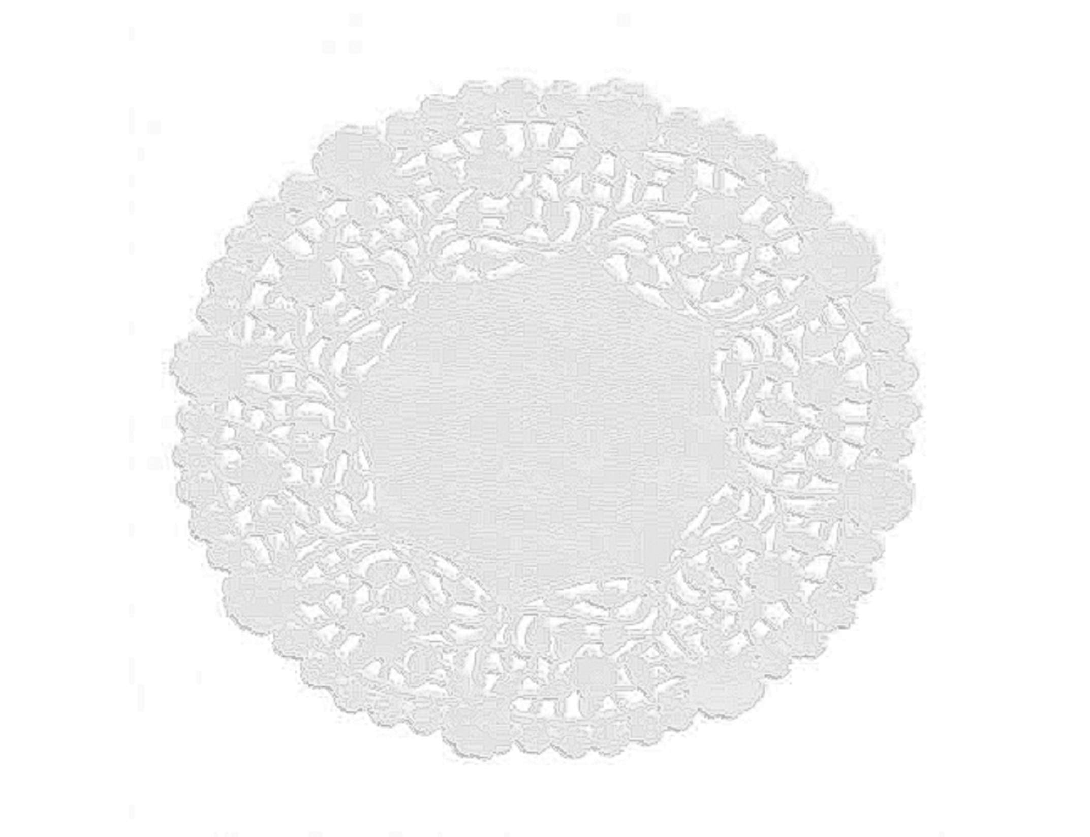 The Baker Celebrations White Round Paper Lace Doilies (Pack of 100) Made in Canada (5-inch)