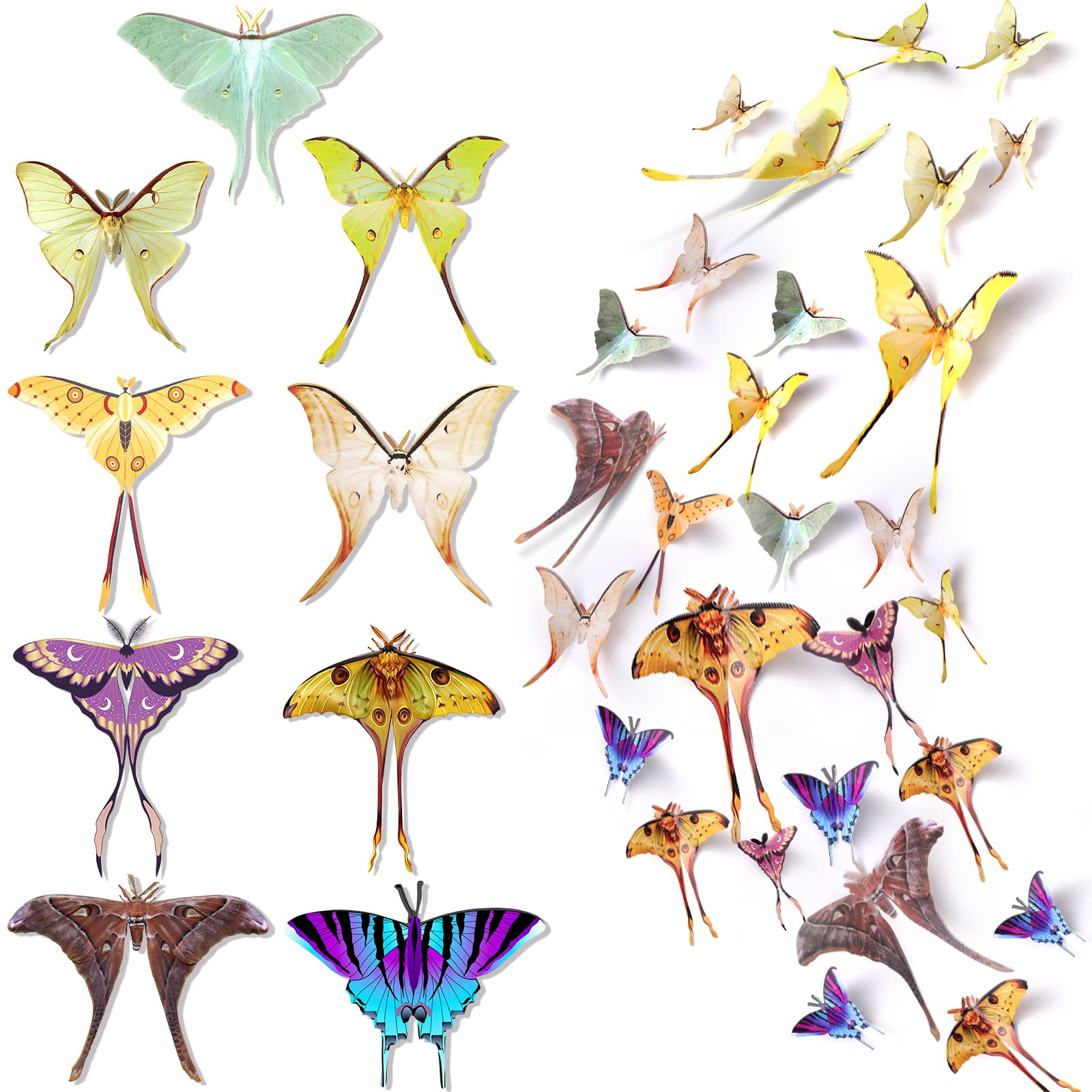 Rtteri 63 Pcs Butterfly Wall Decor Stickers Butterflies Removable Double Sided 3D Butterfly Moth Decal 6 Inch Butterfly Party De