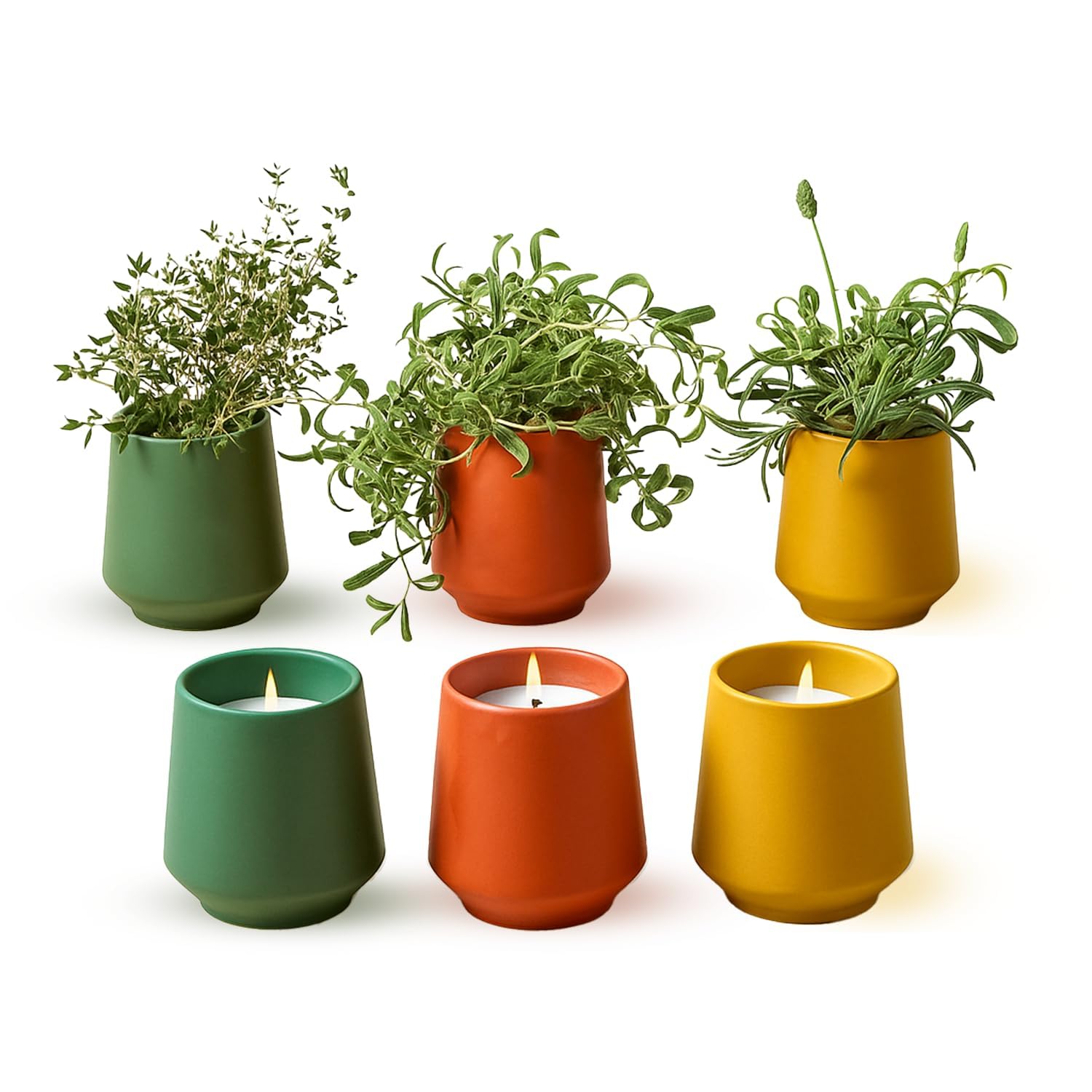 Modern Sprout - 2 in 1 Scented Candles with Seeds that Grows into Plants - 6 oz Soy Candle with 42 hr Burn time in Matte Glaze C