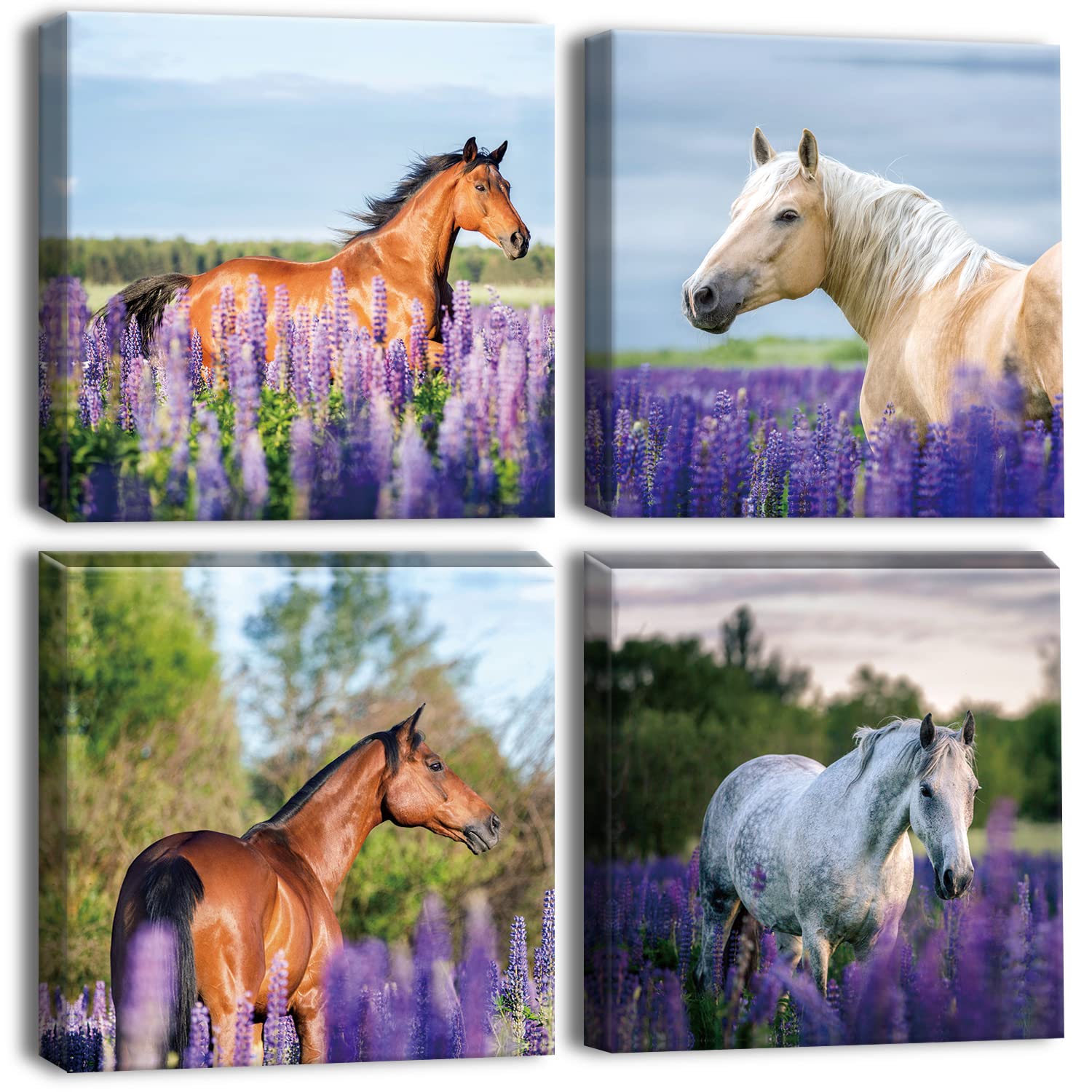Otostar 4 Pieces Wall Art Canvas Prints - Purple Lavender And Horse Picture Painting - Modern Wall Artwork Framed For Gifts Bath