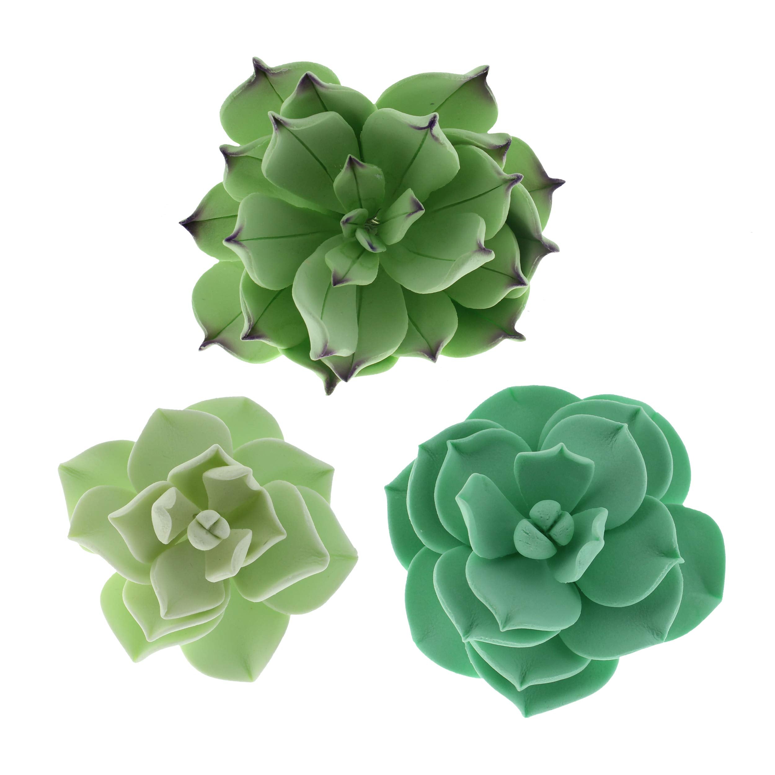 Global Sugar Art Succulents Sugar Cake Flowers, Set Of 3 By Chef Alan Tetreault