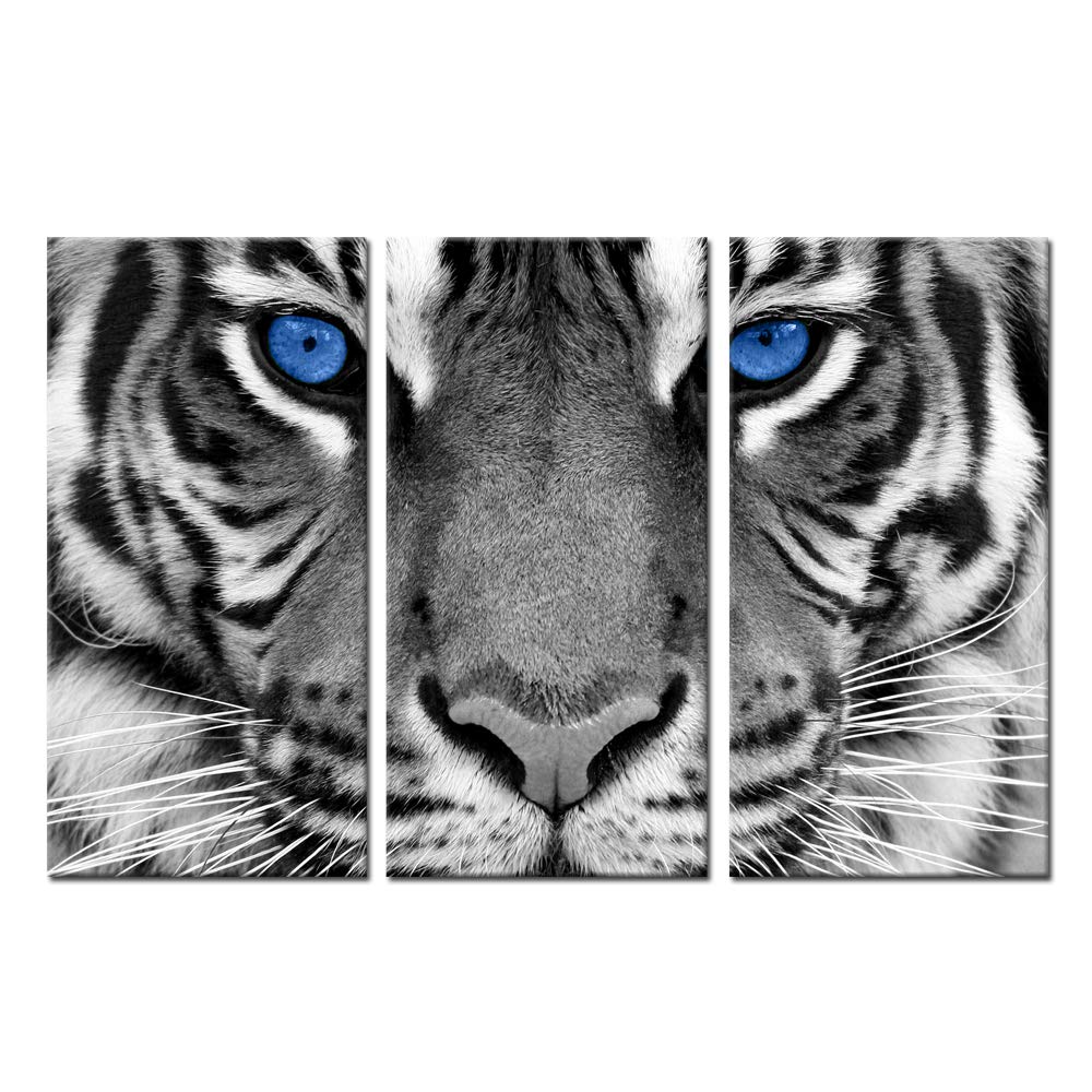 Kreative Arts Large 3 Pieces Canvas Prints Wall Art Blue Eyed Tiger Poster Printed On Canvas Animal Pictures Painting Giclee Art