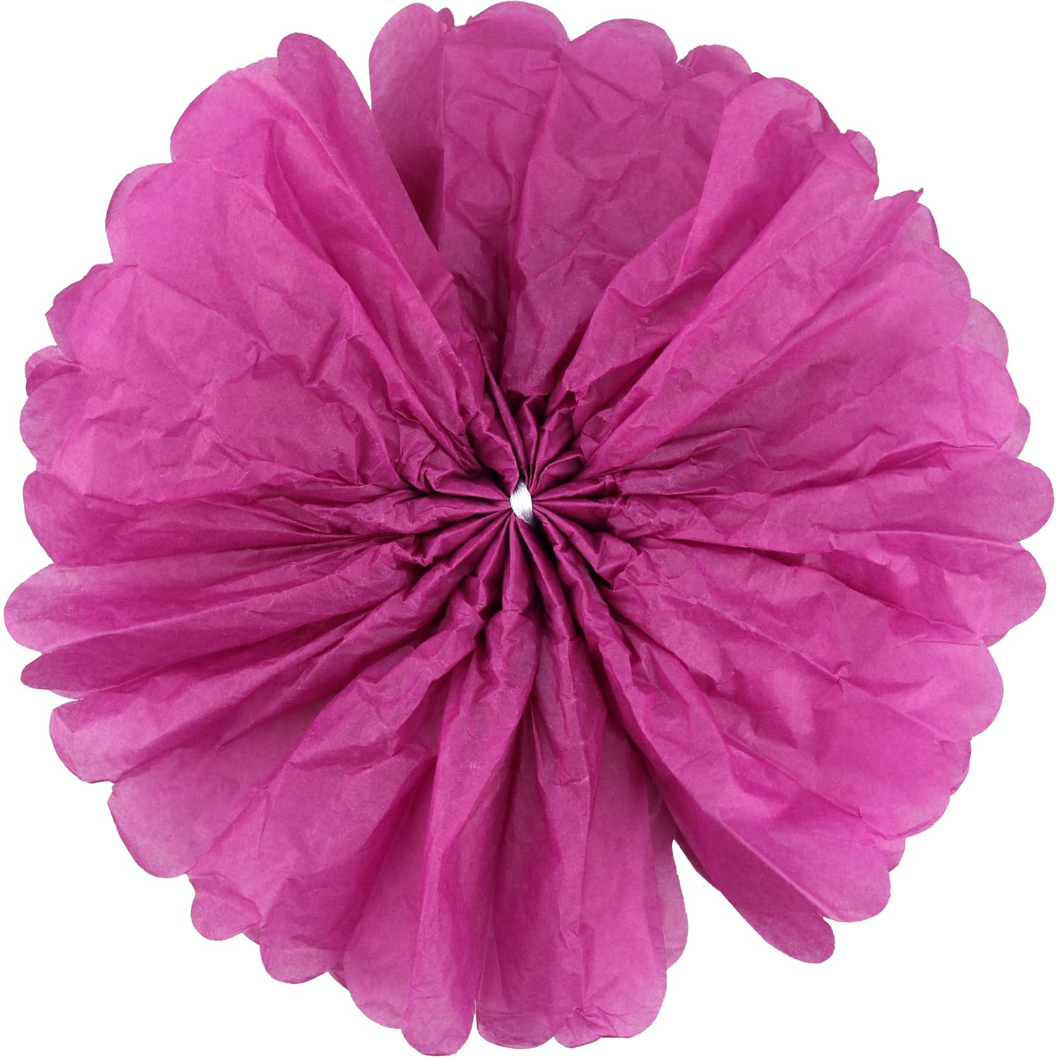 Lightingsky 10Pcs Diy Decorative Tissue Paper Pom-Poms Flowers Ball Perfect For Party Wedding Home Outdoor Decoration (6-Inch Di