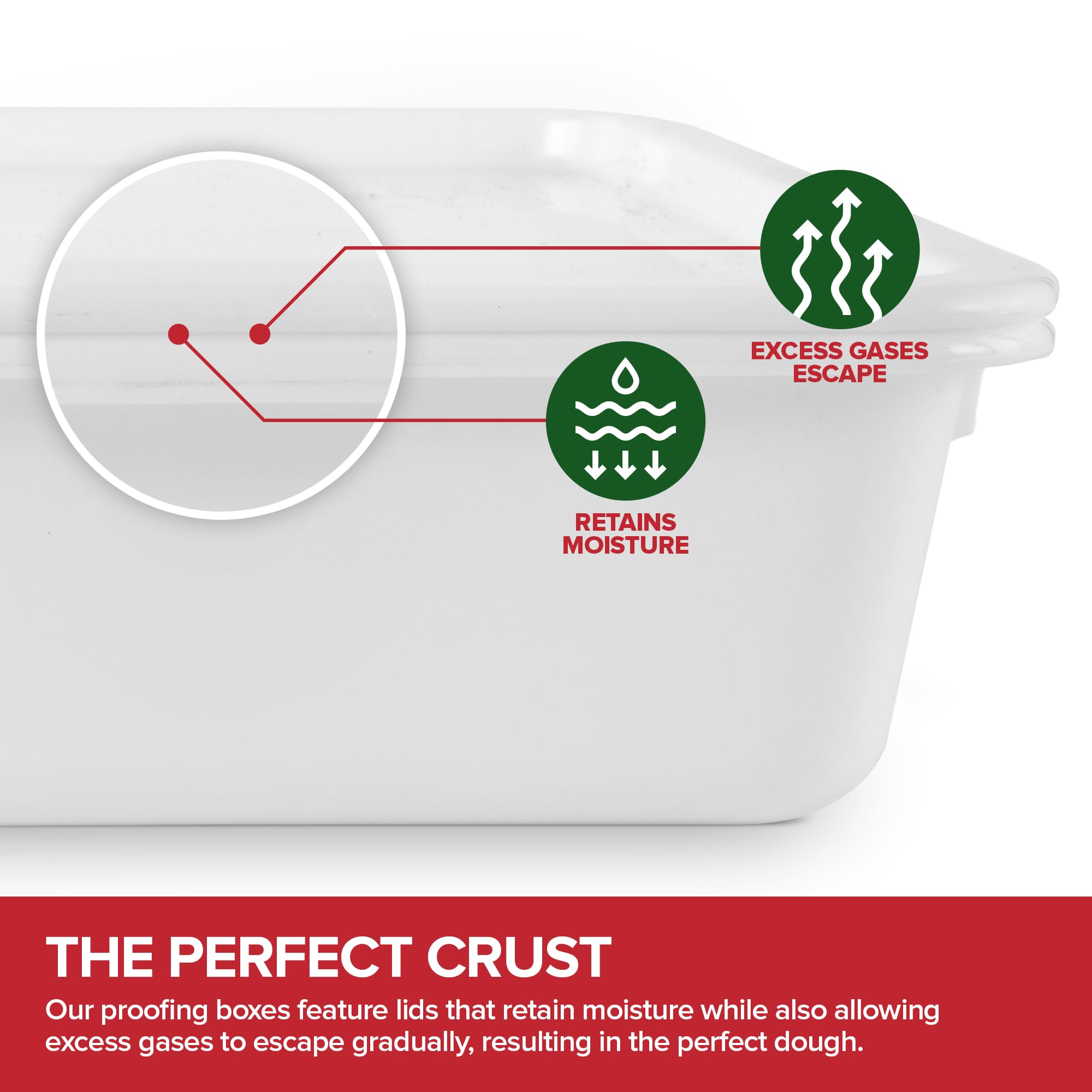 Stock Your Home Pizza Dough Proofing Container With Lid (2 Pack), Homemade Bread Dough Proofing Box, Pizza Dough Container, Pizz
