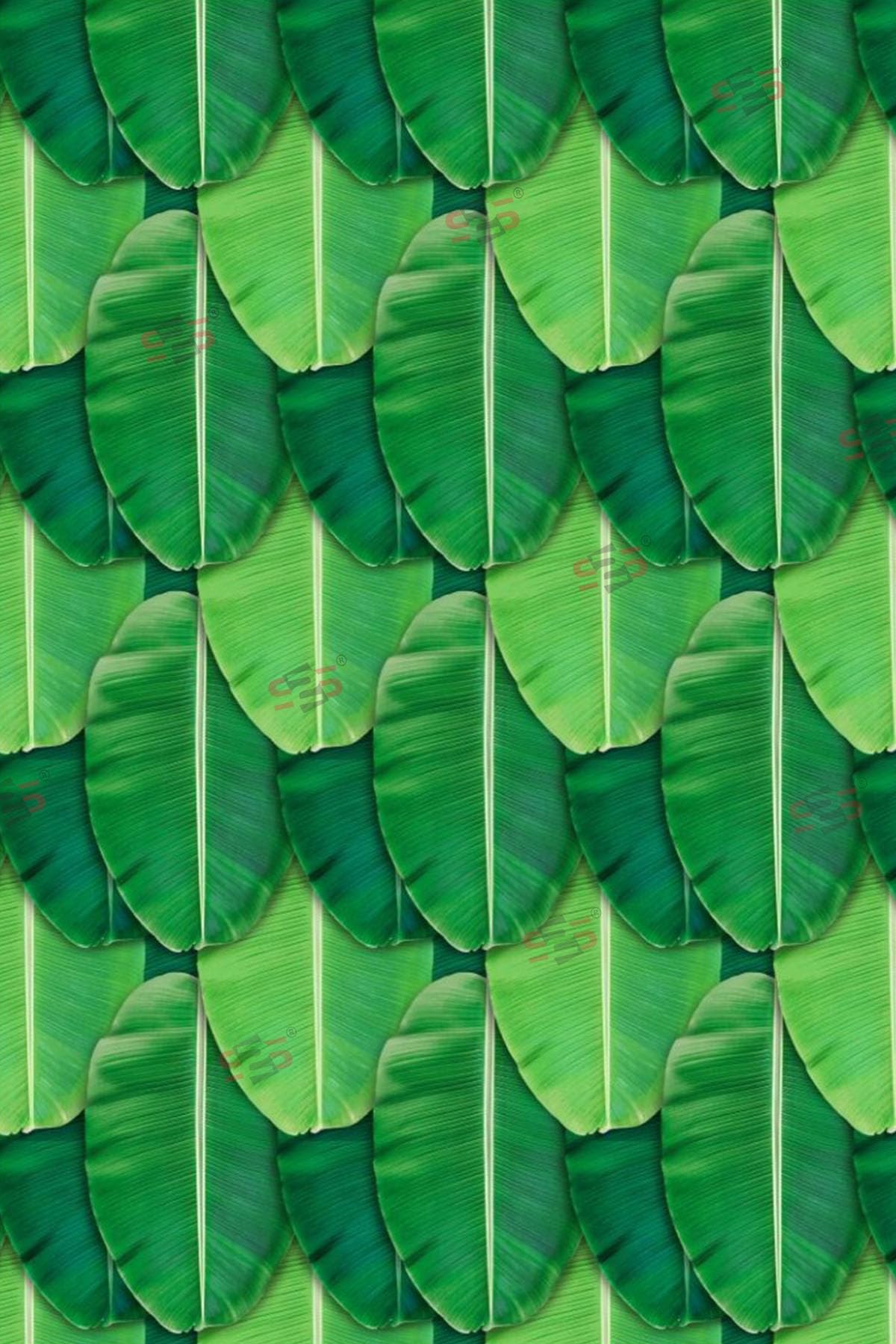 S2S Banana Leaf Curtain for Decoration Backdrop Cloth for Pooja Decoration Traditional Background for All Festival Decoration (P