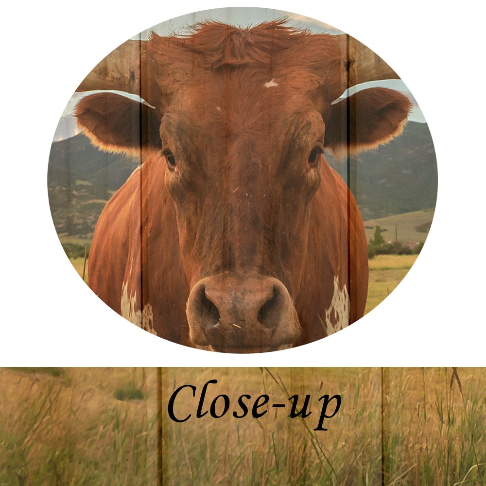 KREATIVE ARTS - Large Modern Canvas Wall Art for Home and Office Decoration Animal Pictures Print Art on Canvas Texas Longhorn Canvas Prints Giclee Artwork for Wall (Wood Style 24x36inch)