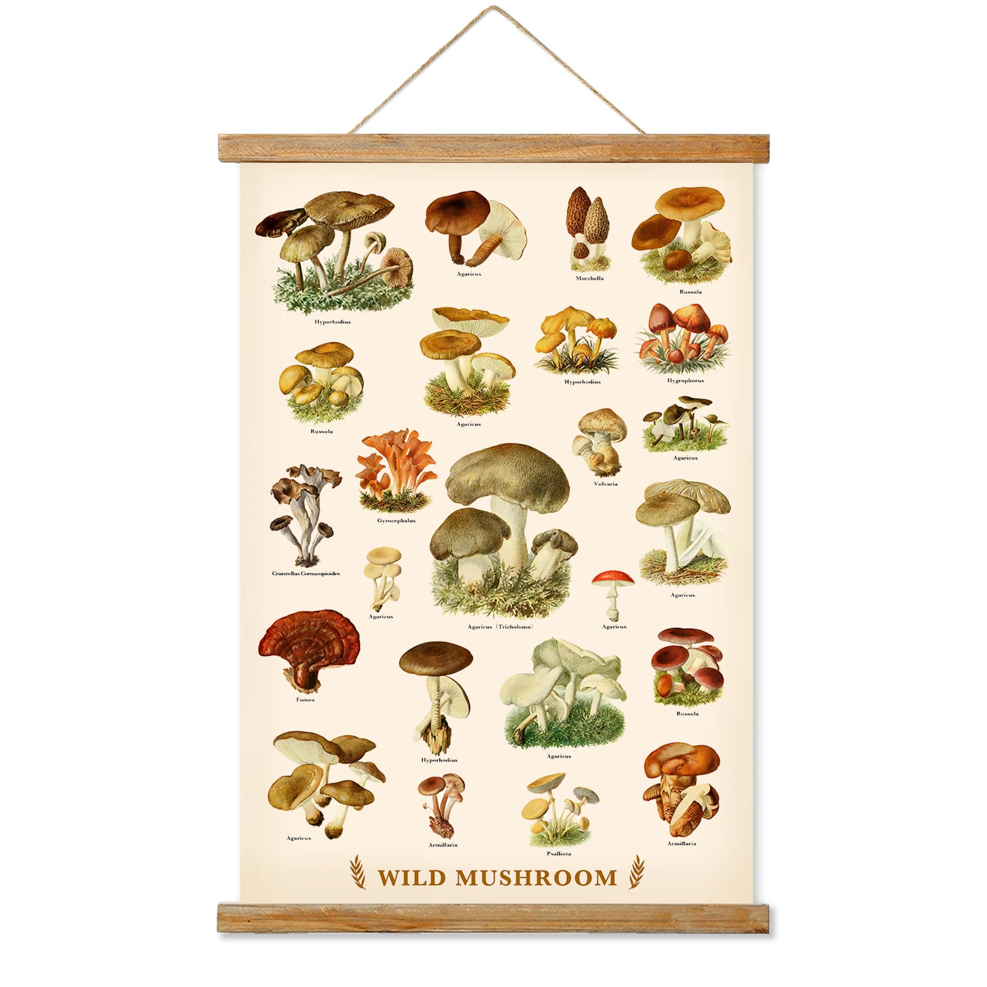 Ovfovy Vintage Mushroom Poster With Wooden Frame, Retro Botanical Educational Art Chart - Cute Style Wall Hanging For Home Class