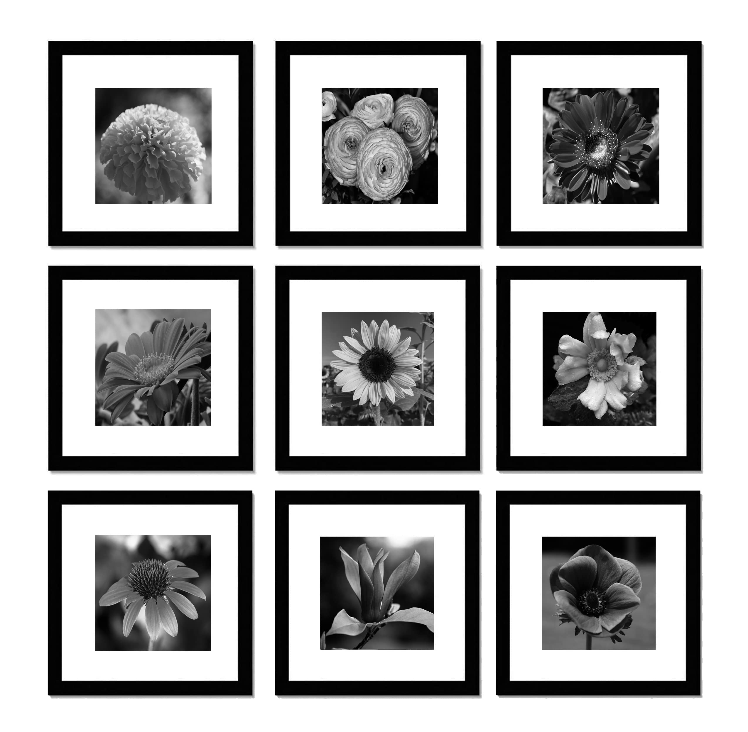 pojah 12x12 White Picture Frame Set of 9,Square Photo Frame with Mat Display Pictures 8x8 or 12x12 Without Mat,PVC Glass,for Wal