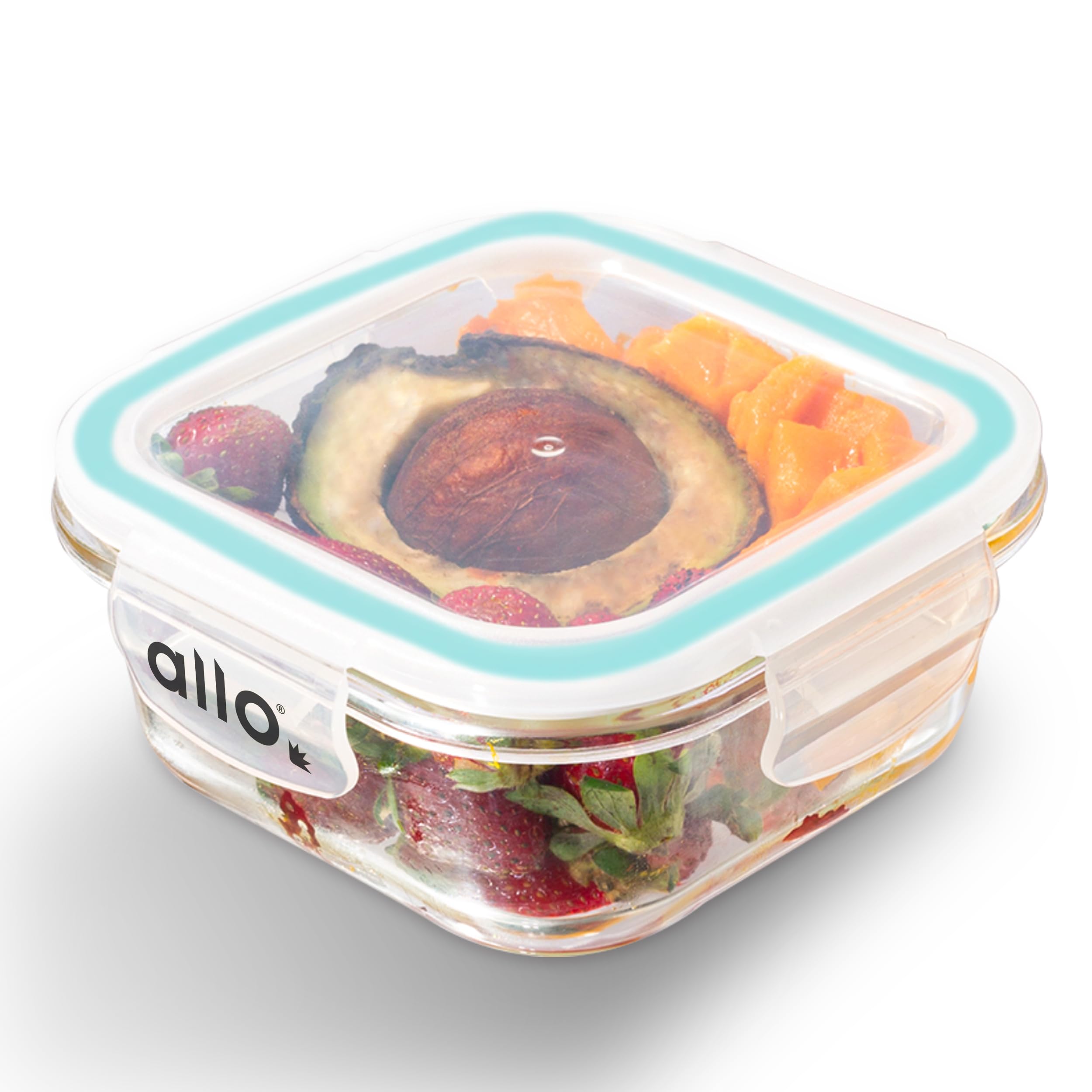 Allo Food Safe Borosilicate Glass Containers With Lids, 450C Oven Microwave Safe Containers, High Meal Prep Borosilicate Glass F