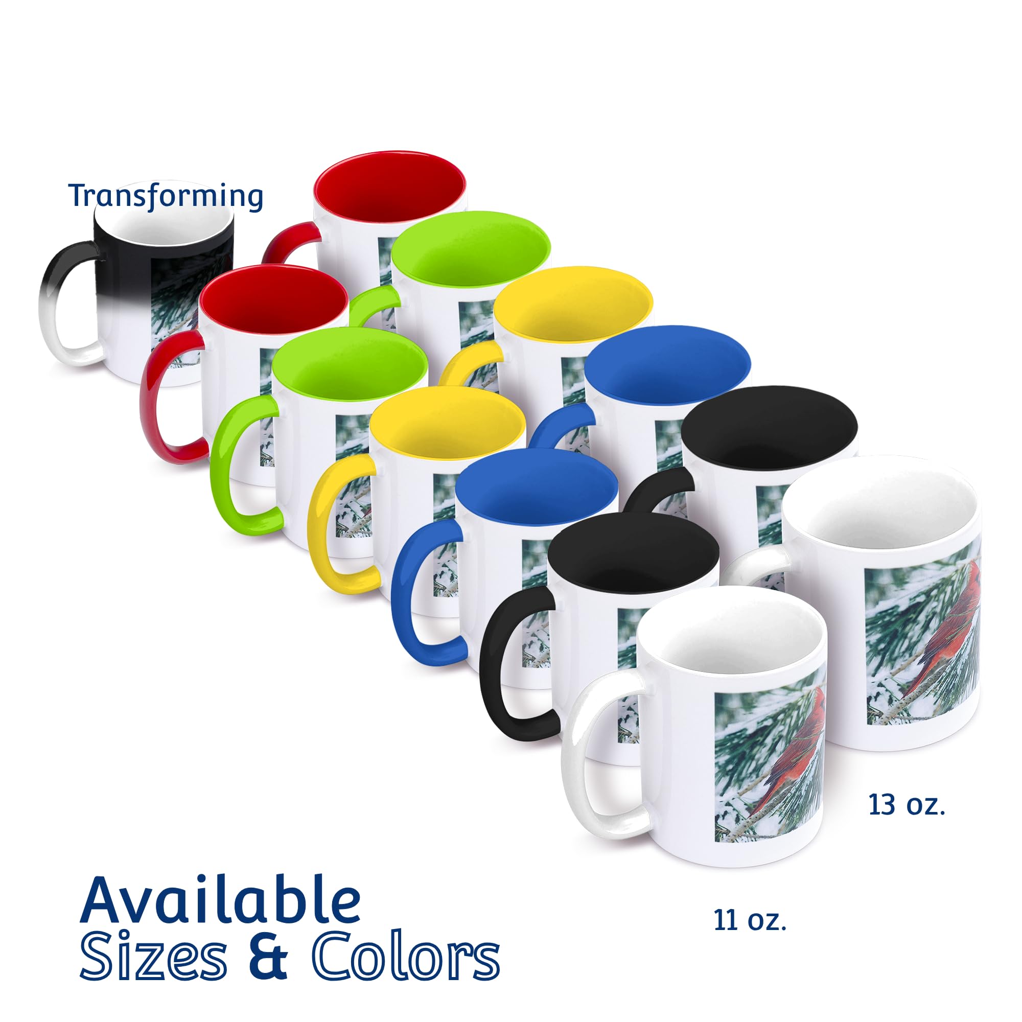 3dRose Guinea Pig Dad Mug, 11 oz, Black