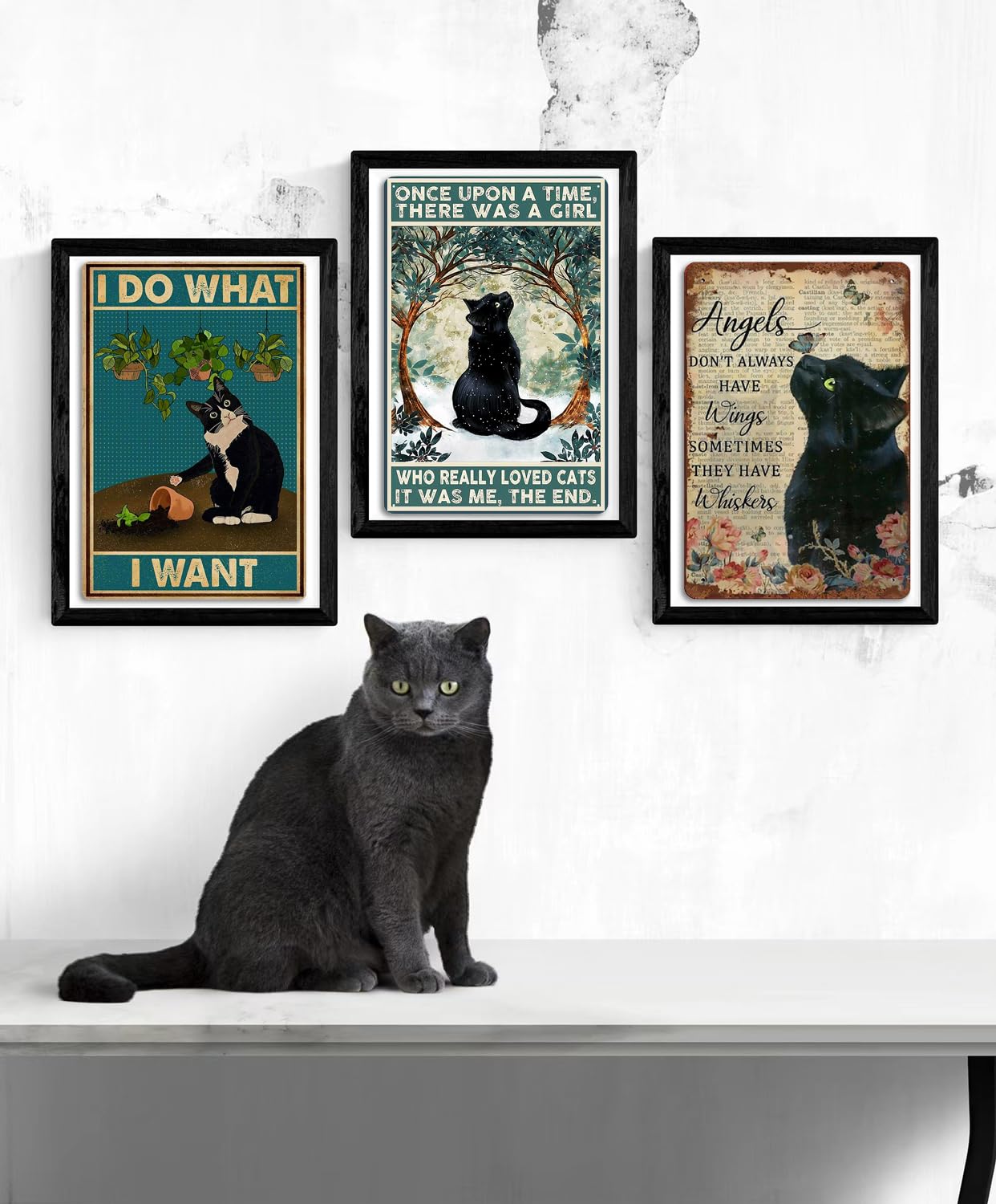 Fmcmly Black Cat Decor Tin Signs Once Upon A Time There Was A Girl Who Really Loved Cats Personalized Metal Art Poster Gift For