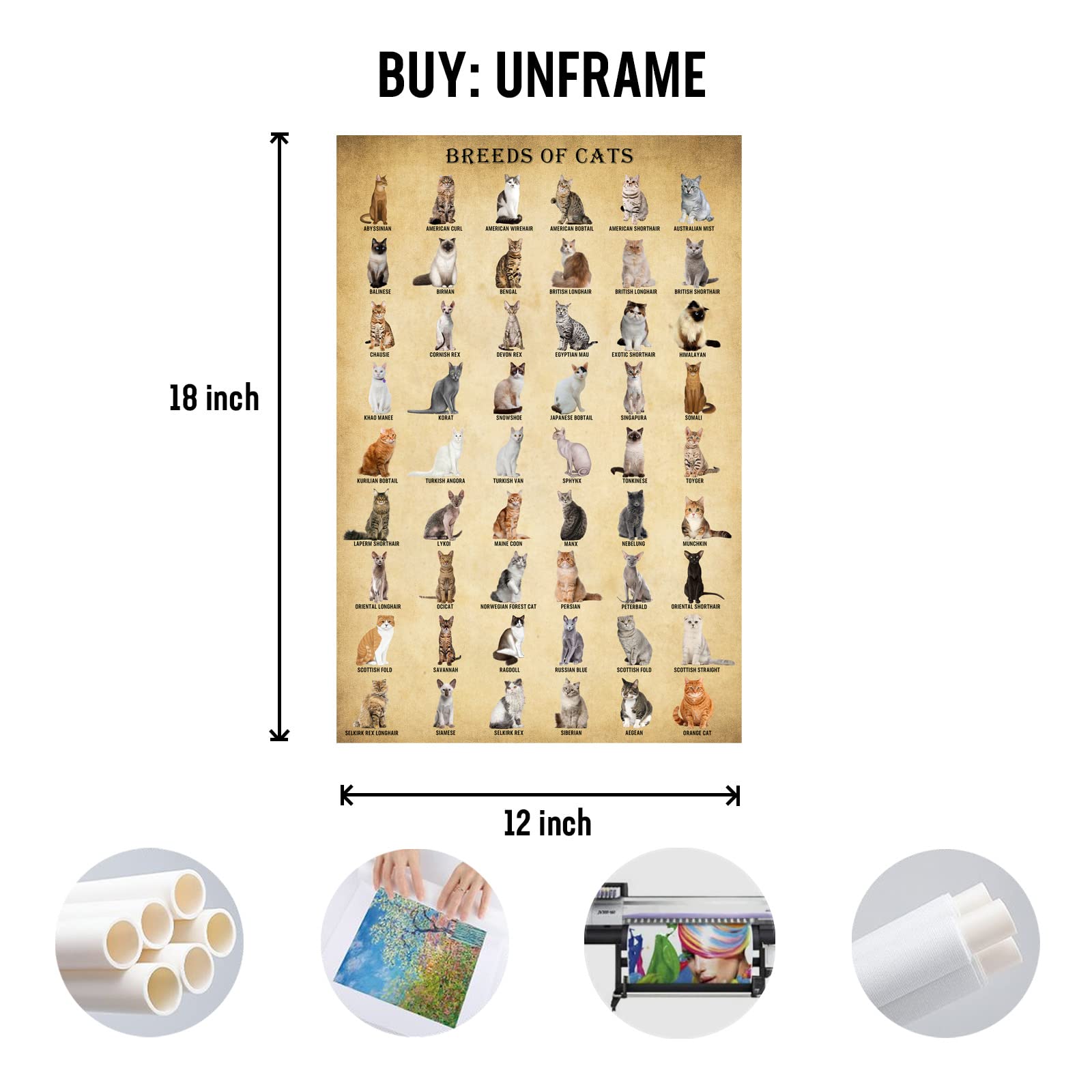 Basyeeo Cat Breeds Posters, Vintage Cats Knowledge Poster, Breeds Of Cats, Type Of Cats, Cat Decor For Cat Lovers, Cat Wall Art