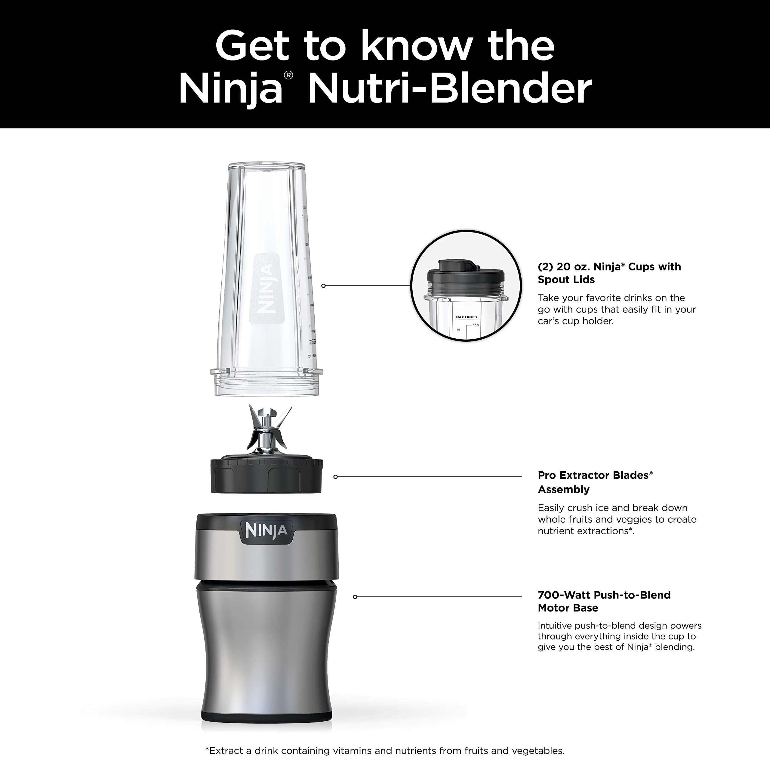 Ninja Bn300C, Personal Nutri-Blender With Ice-Crushing Technology, Black/Silver, 700W