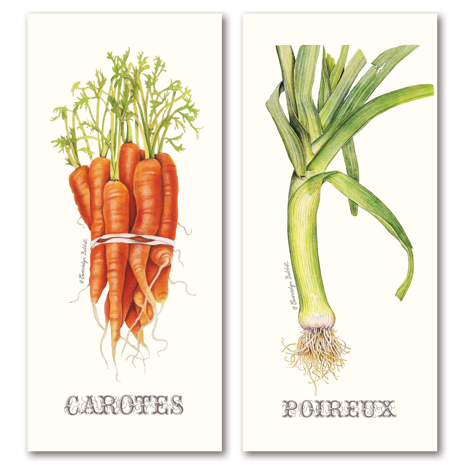 Classic French Vegetable Leek And Carrot Set; Kitchen Decor; Two 8X18In Poster Prints