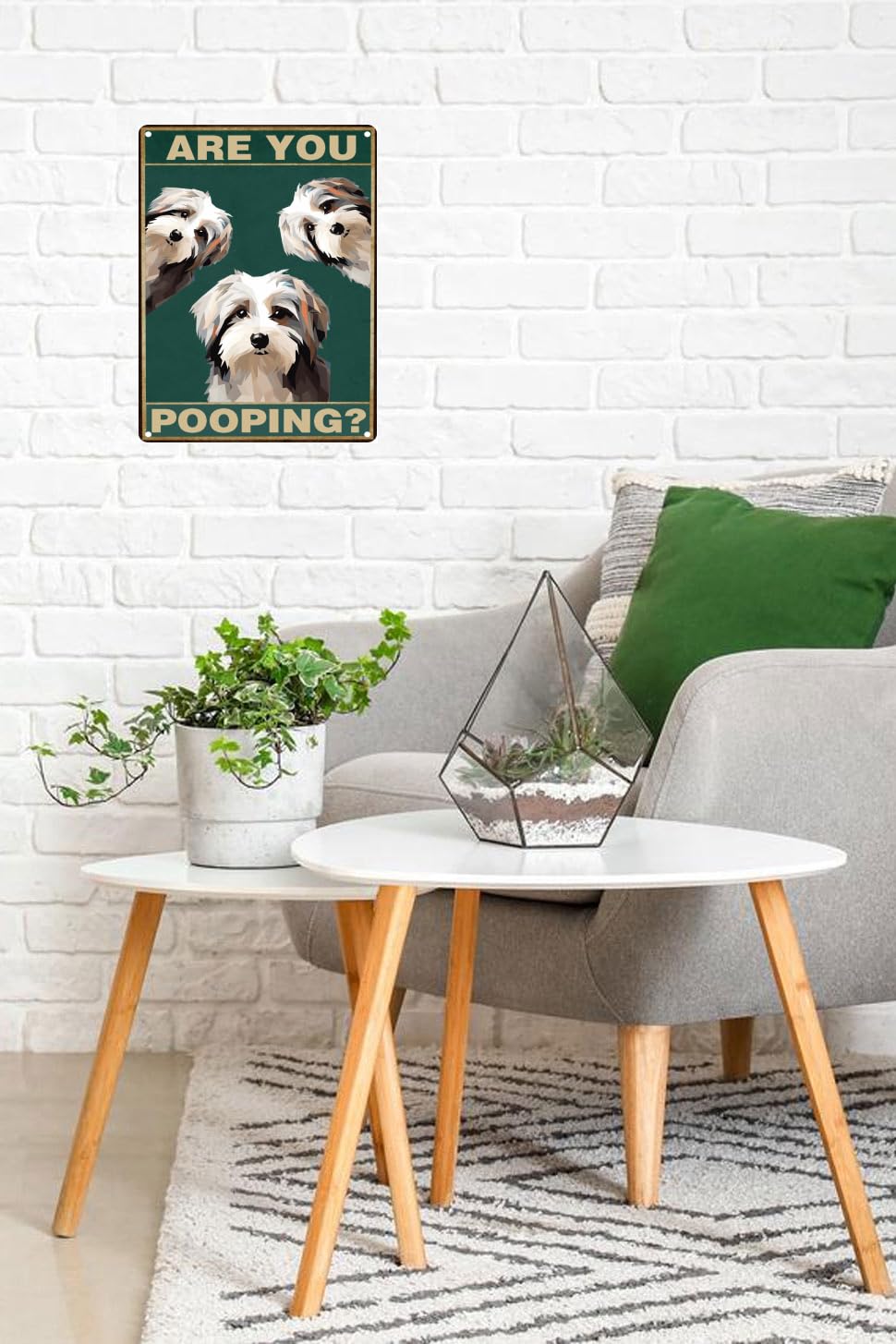 Toppacific Havanese-Dog 12X8 Inch Are You Pooping Sign Bathroom Decor- Dog Metal Poster Dog Lover Gift Art Funny Dogs Wall Art D