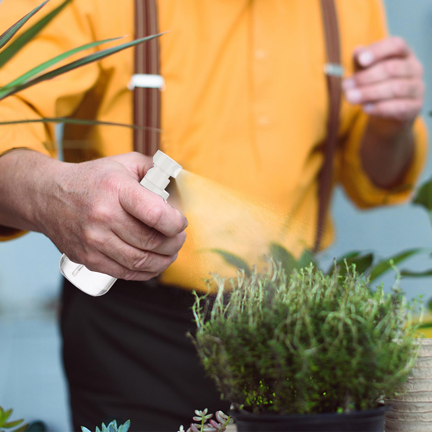 Givitasot 3Pack Small Spray Bottle, 3.4Oz Travel Spray Bottles, Empty Spray Bottles, Refillable Plastic Spray Bottles (Clear+Gre