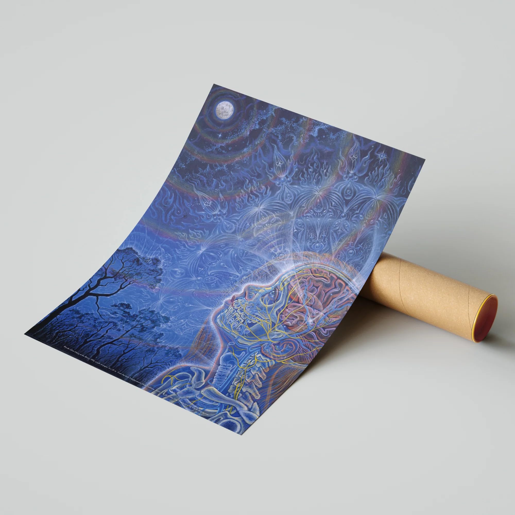 Alex Grey - Wonder - Poster